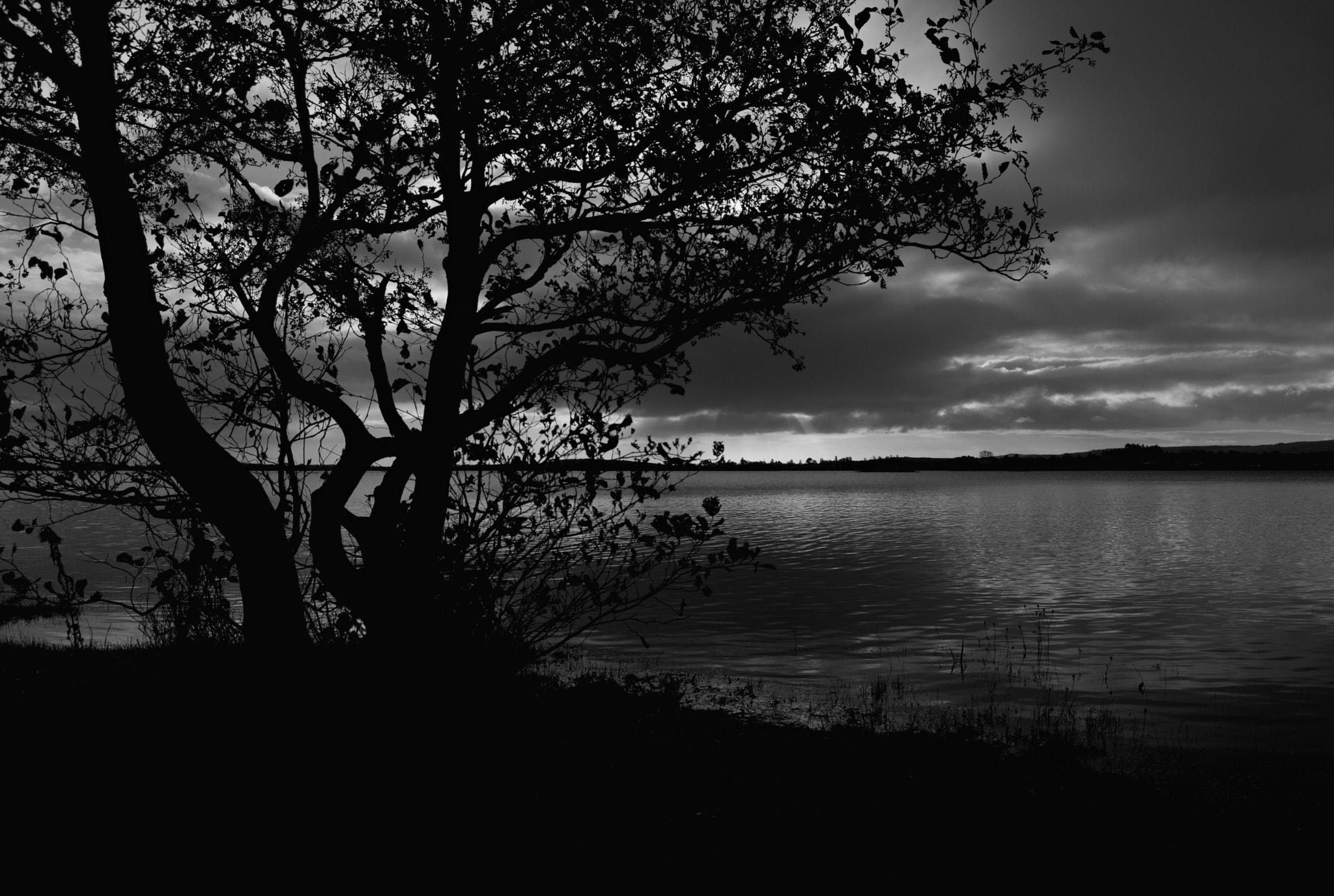 18.00 - 55.00 mm f/3.5 - 5.6 sample photo. Shadows photography