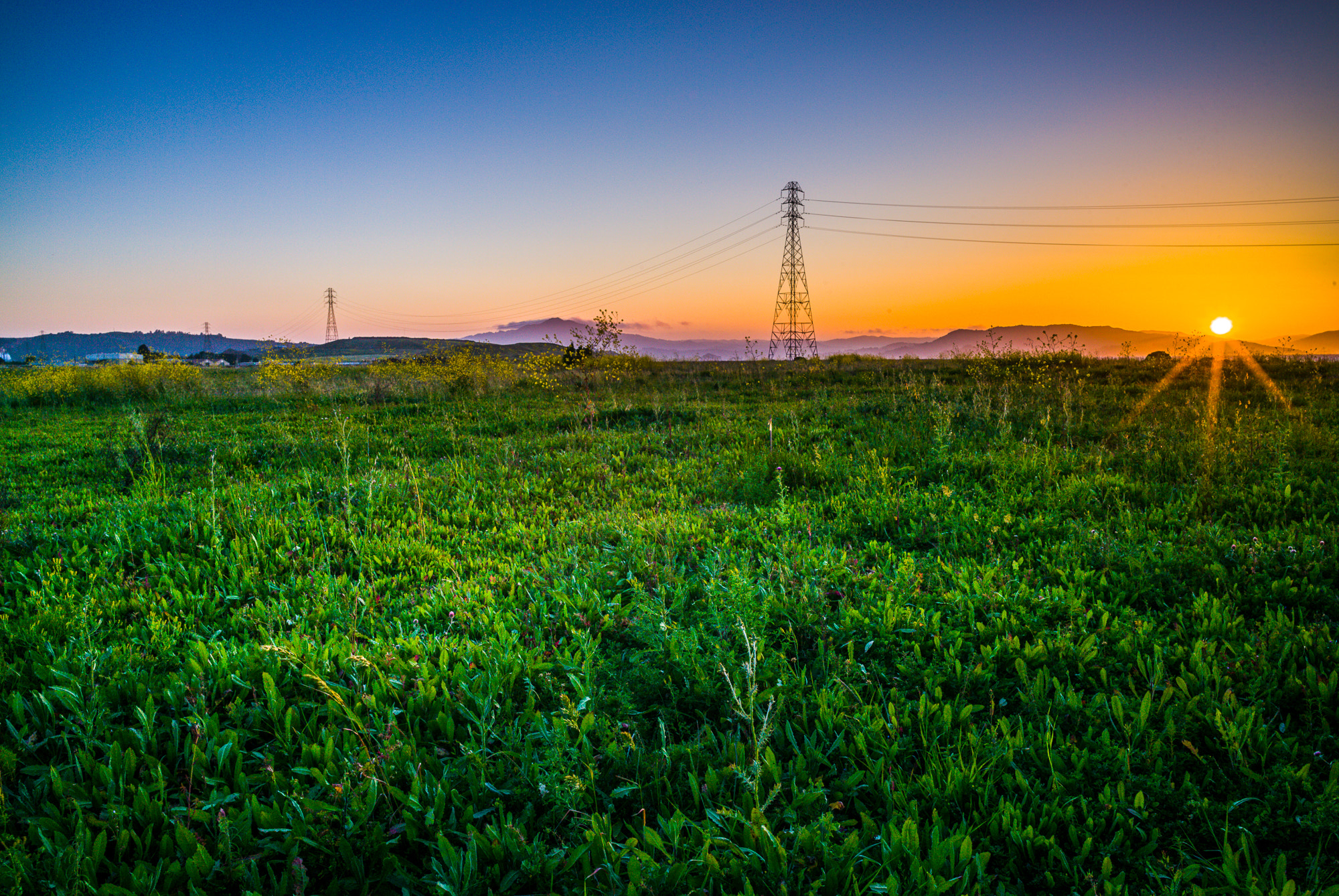 Summicron-M 1:2/28 ASPH. sample photo. Powerline tower iii photography