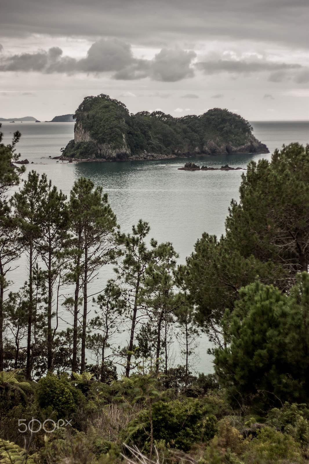 Canon EOS 450D (EOS Rebel XSi / EOS Kiss X2) + Canon EF 50mm F1.8 II sample photo. Coromandel peninsula photography