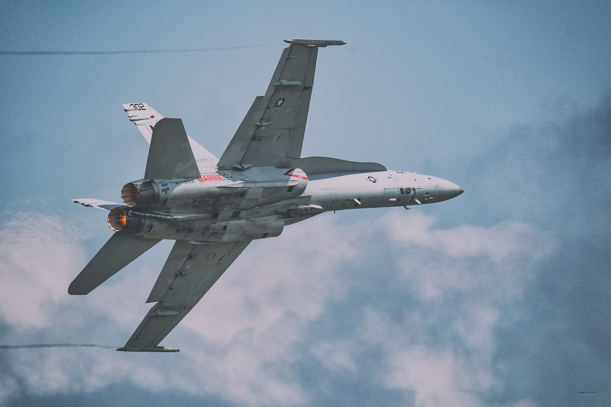 Sigma 150-600mm F5-6.3 DG OS HSM | C sample photo. Hornet photography