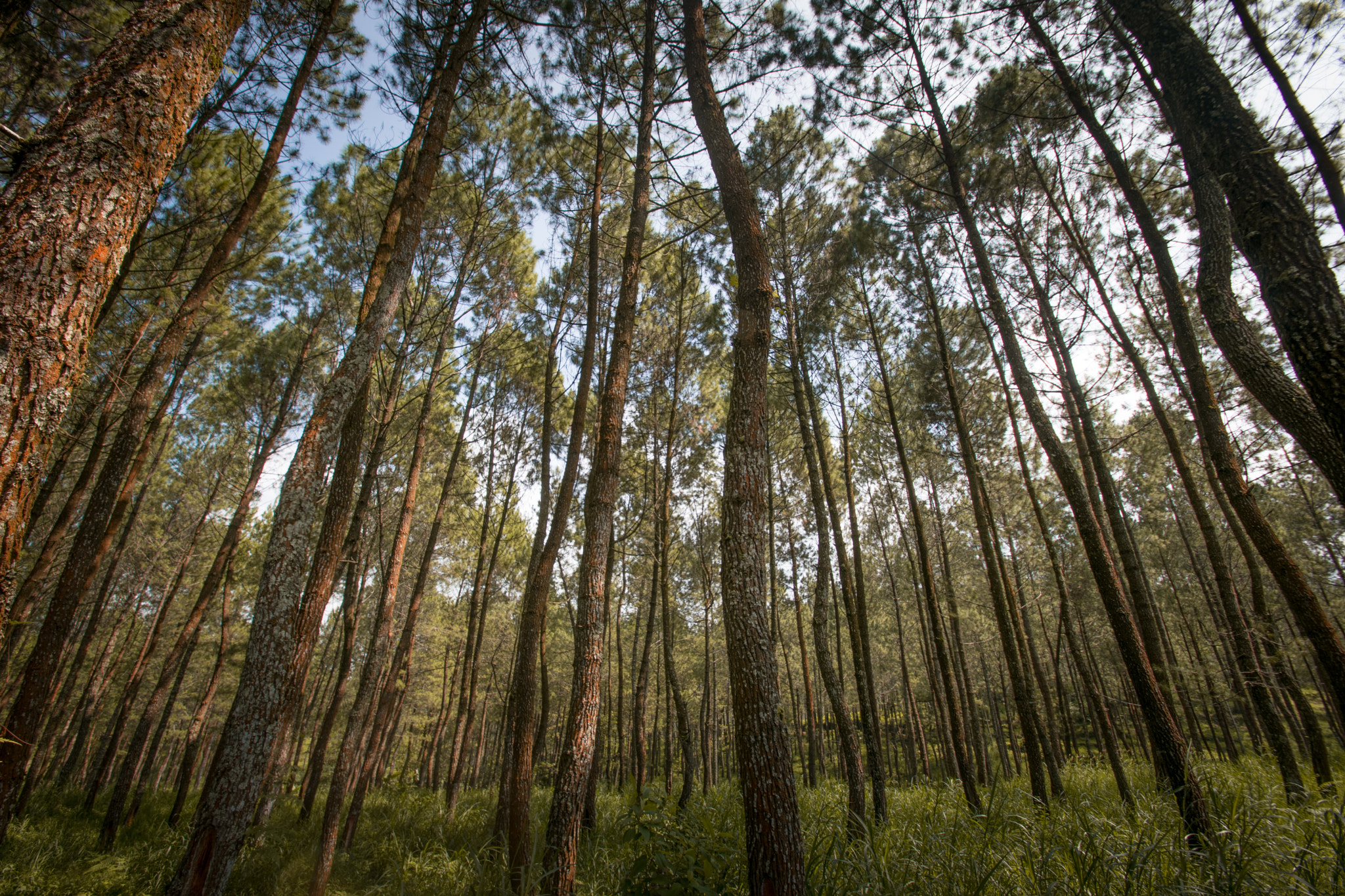 Nikon D3300 + Tamron SP AF 10-24mm F3.5-4.5 Di II LD Aspherical (IF) sample photo. Summer vibe photography