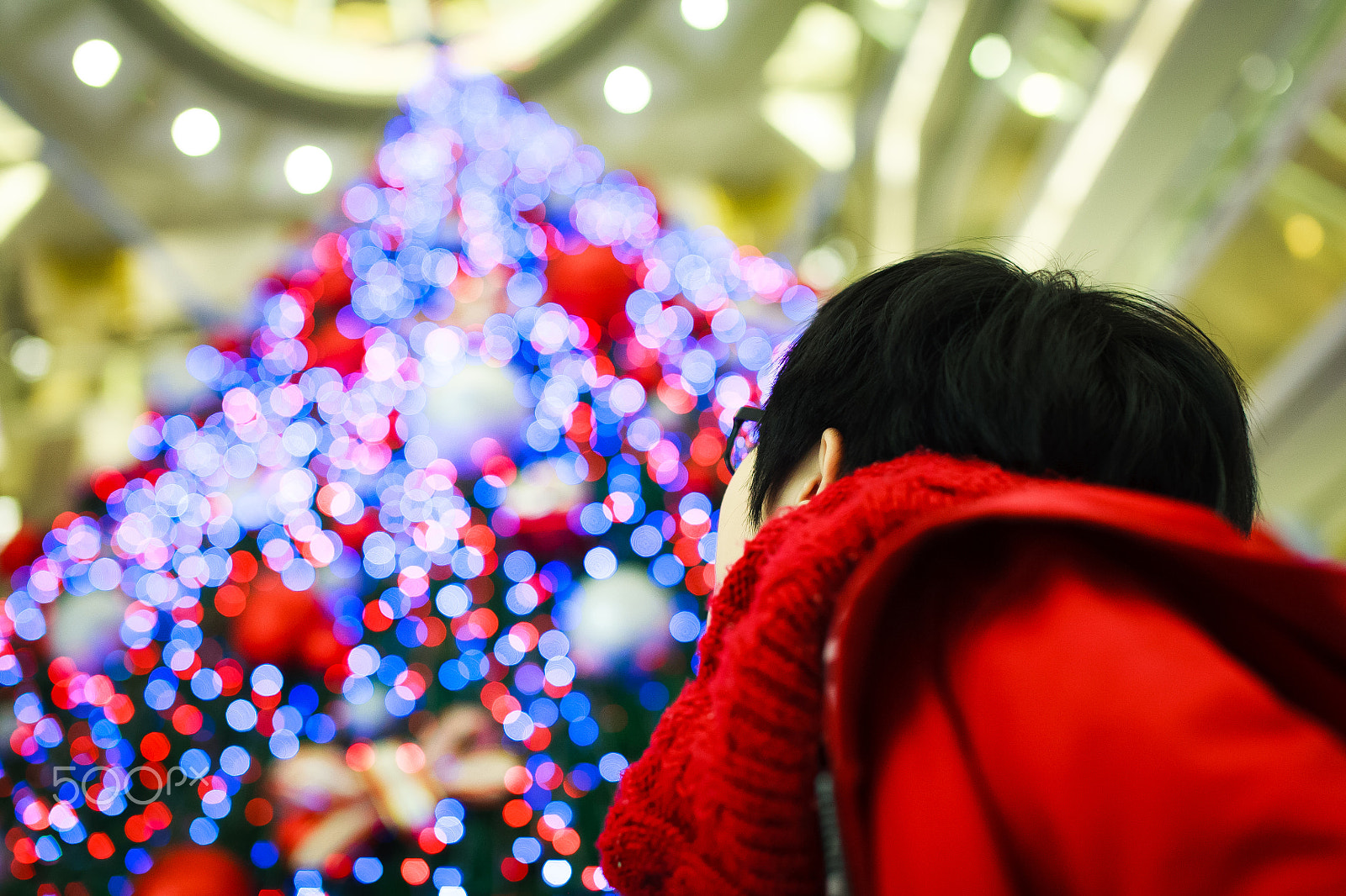 Sigma 50mm F1.4 EX DG HSM sample photo. We wish you a merry christmas photography