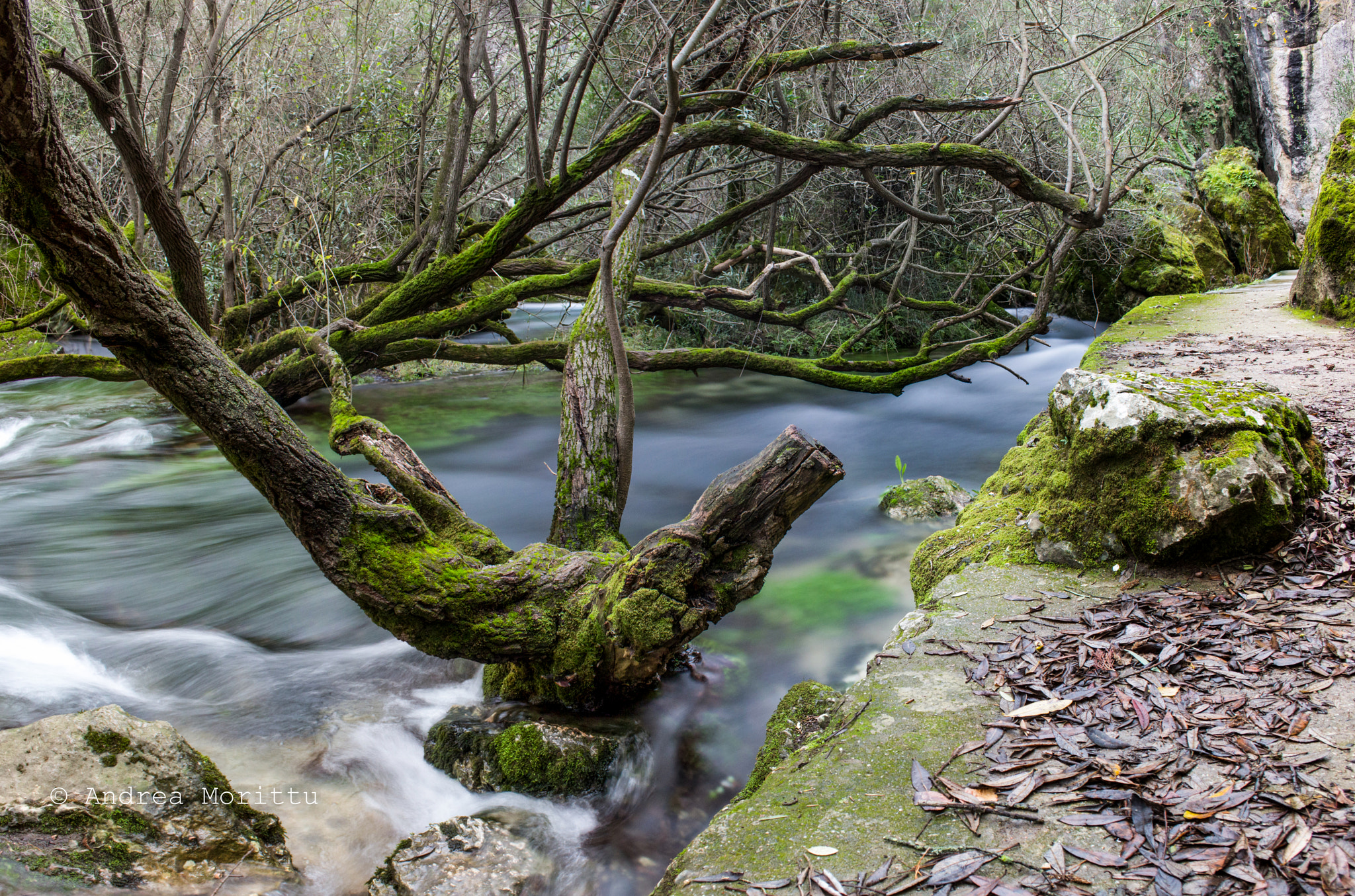 Canon EF-S 18-55mm F3.5-5.6 sample photo. Su gologone - oliena sardegna - photography