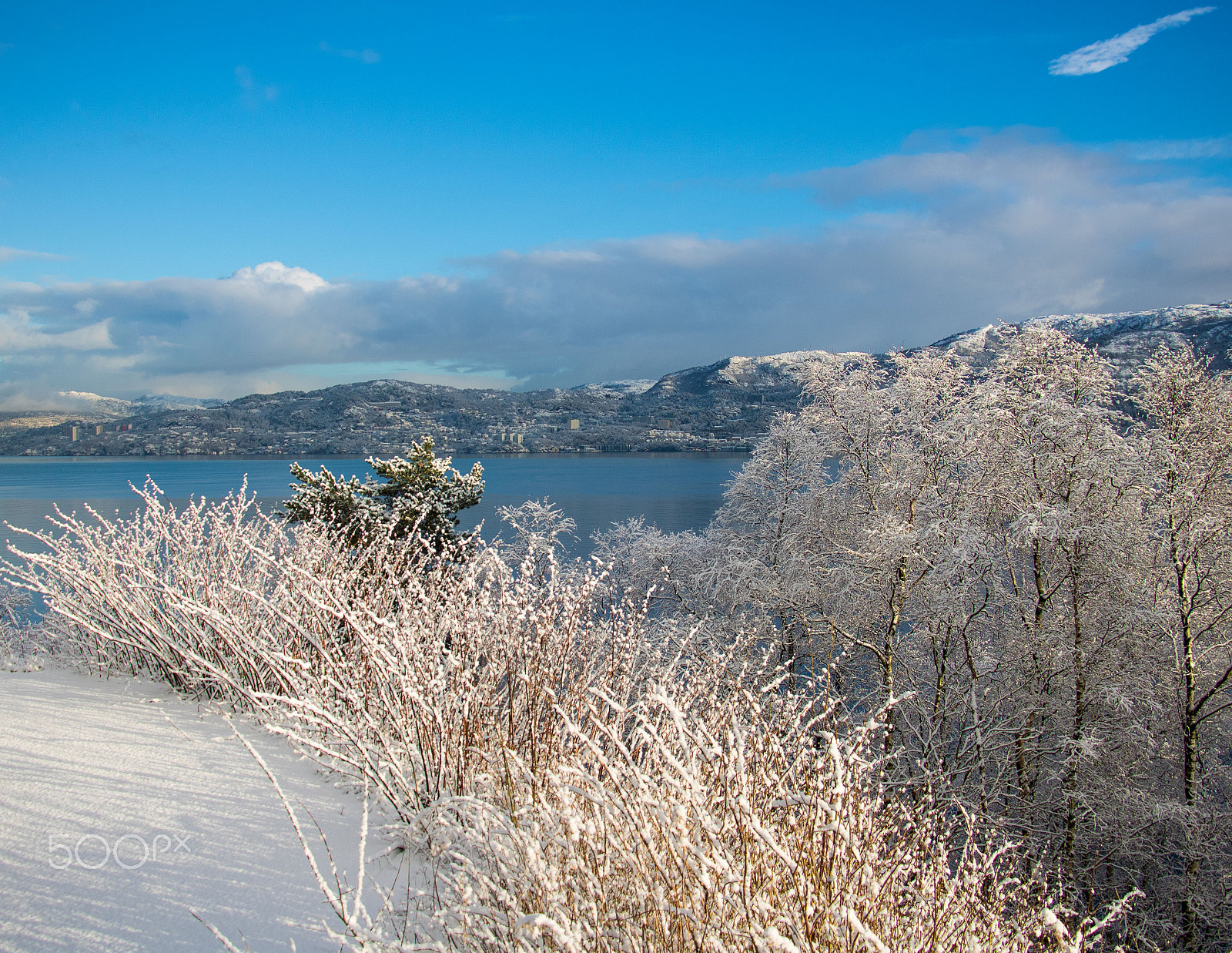 Canon EF-S 18-135mm F3.5-5.6 IS STM sample photo. Winter wonderland photography