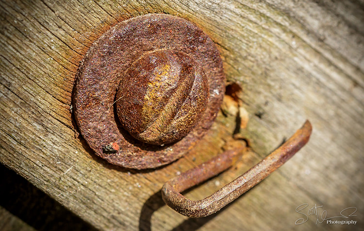 Tamron SP AF 60mm F2 Di II LD IF Macro sample photo. A turn of the screw... photography