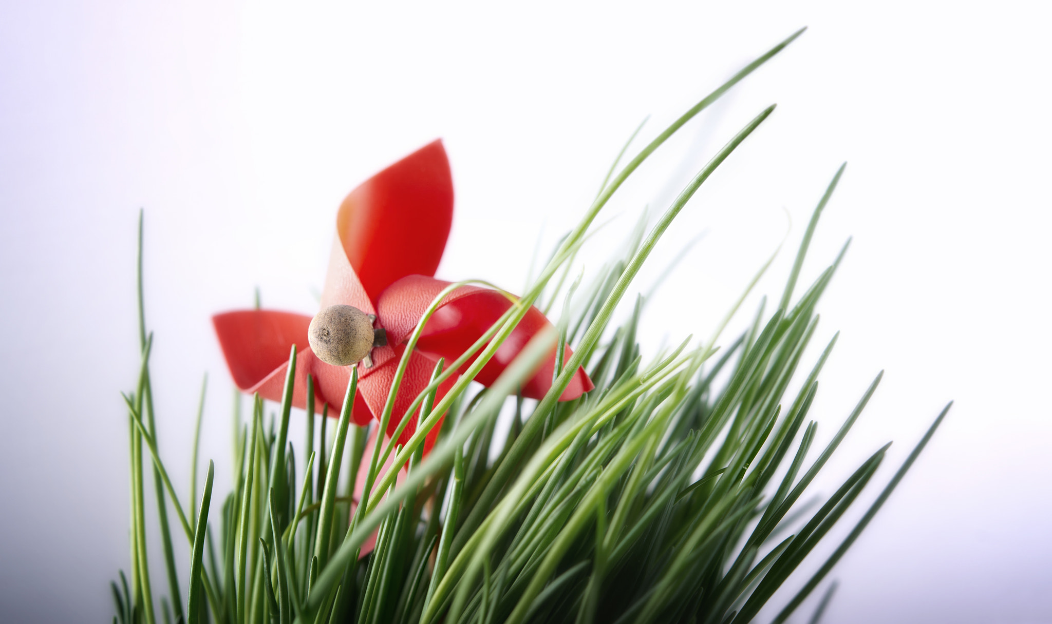 Nikon AF-S Micro-Nikkor 60mm F2.8G ED sample photo. ... red & green photography