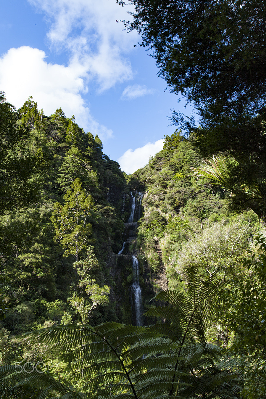 Canon EF 16-35mm F2.8L USM sample photo. Kitekite falls new zealand photography