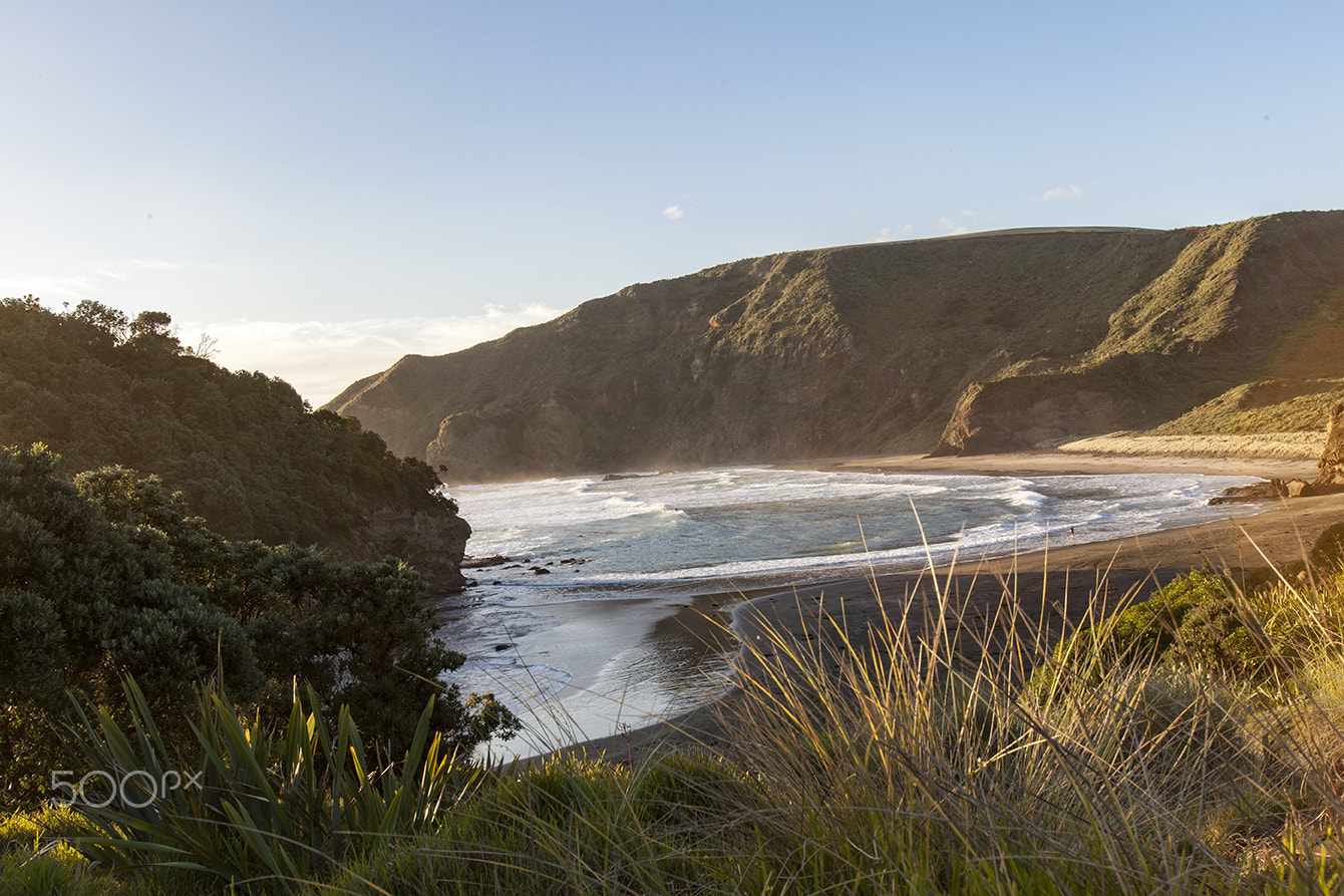 Canon EOS 5D Mark II + Canon EF 16-35mm F2.8L USM sample photo. Bethells beach for surfers photography