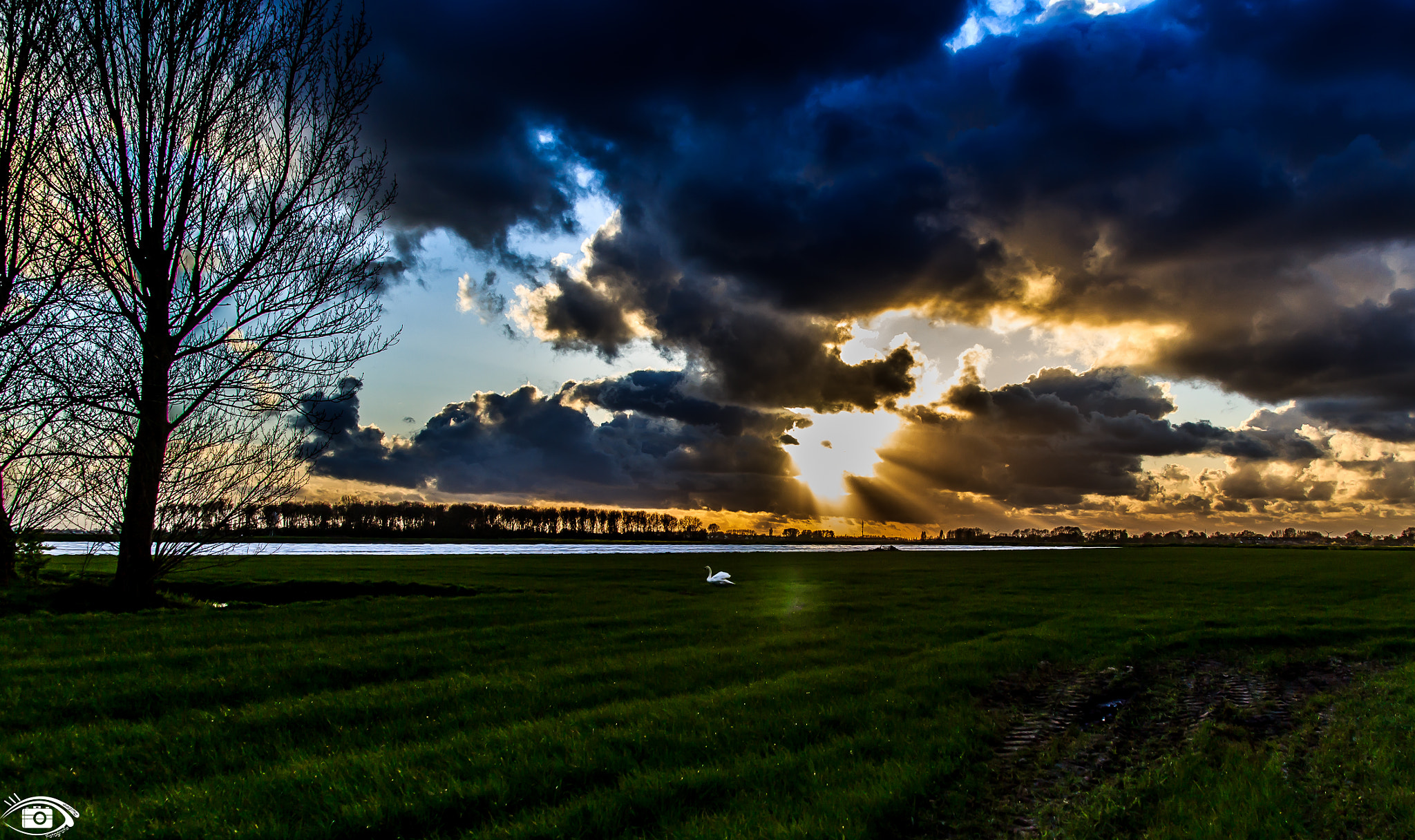 Sigma 17-70mm F2.8-4 DC Macro OS HSM sample photo. ~the swan~ photography