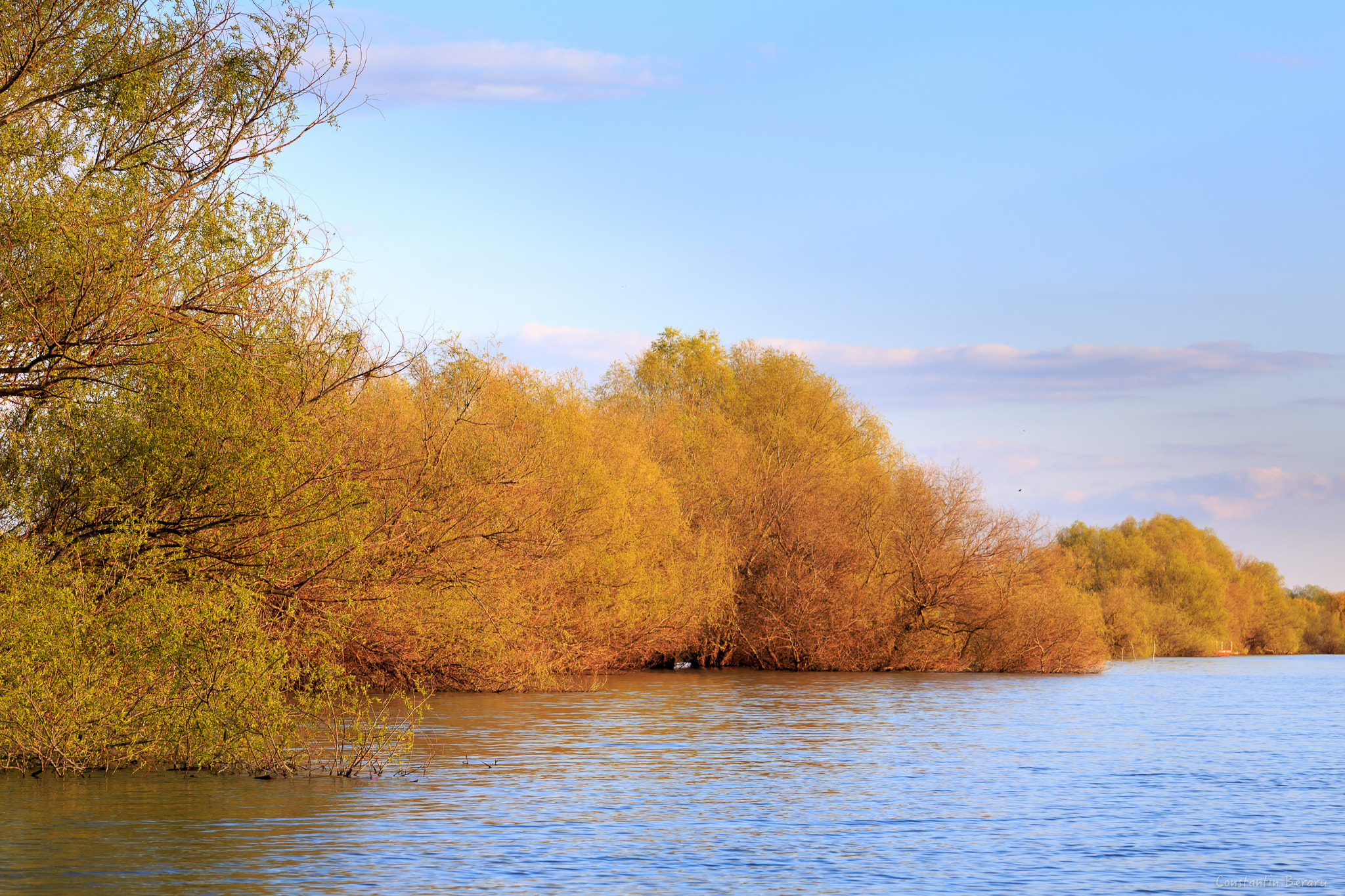 ZEISS Milvus 100mm F2 Macro sample photo. Danube delta - romania photography