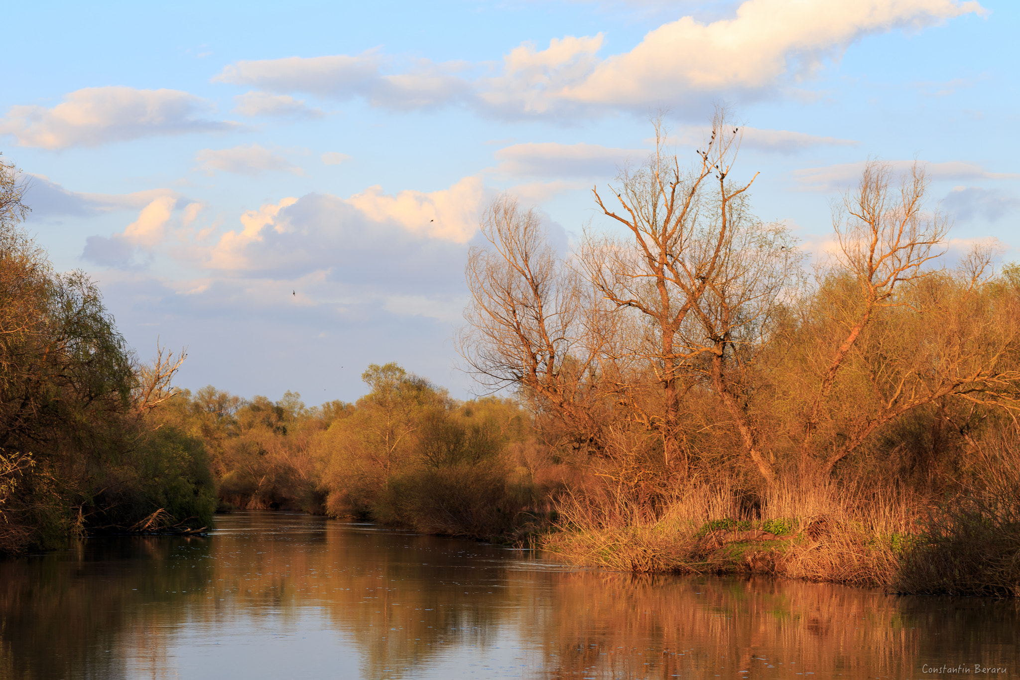 Canon EOS 6D + ZEISS Milvus 100mm F2 Macro sample photo. Danube delta - romania photography