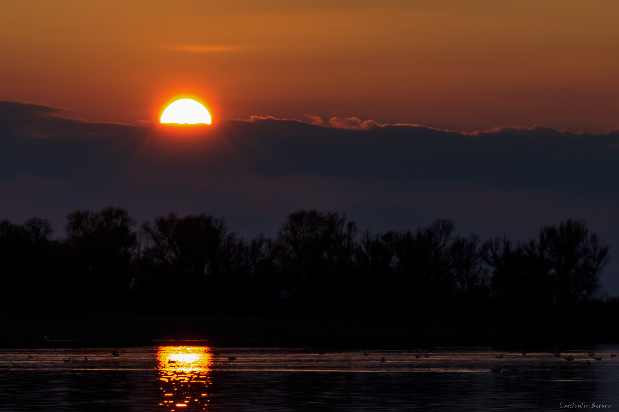 Canon EOS 6D + ZEISS Milvus 100mm F2 Macro sample photo. Danube delta - romania photography