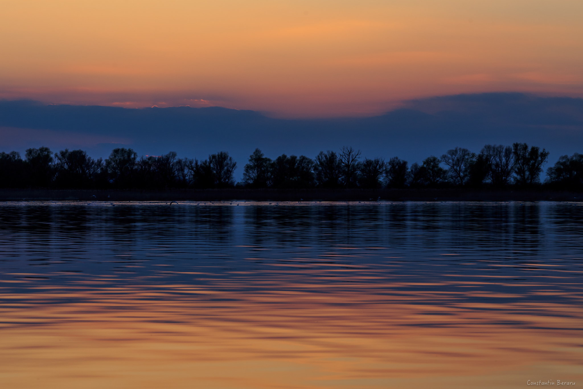 Canon EOS 6D + ZEISS Milvus 100mm F2 Macro sample photo. Danube delta - romania photography