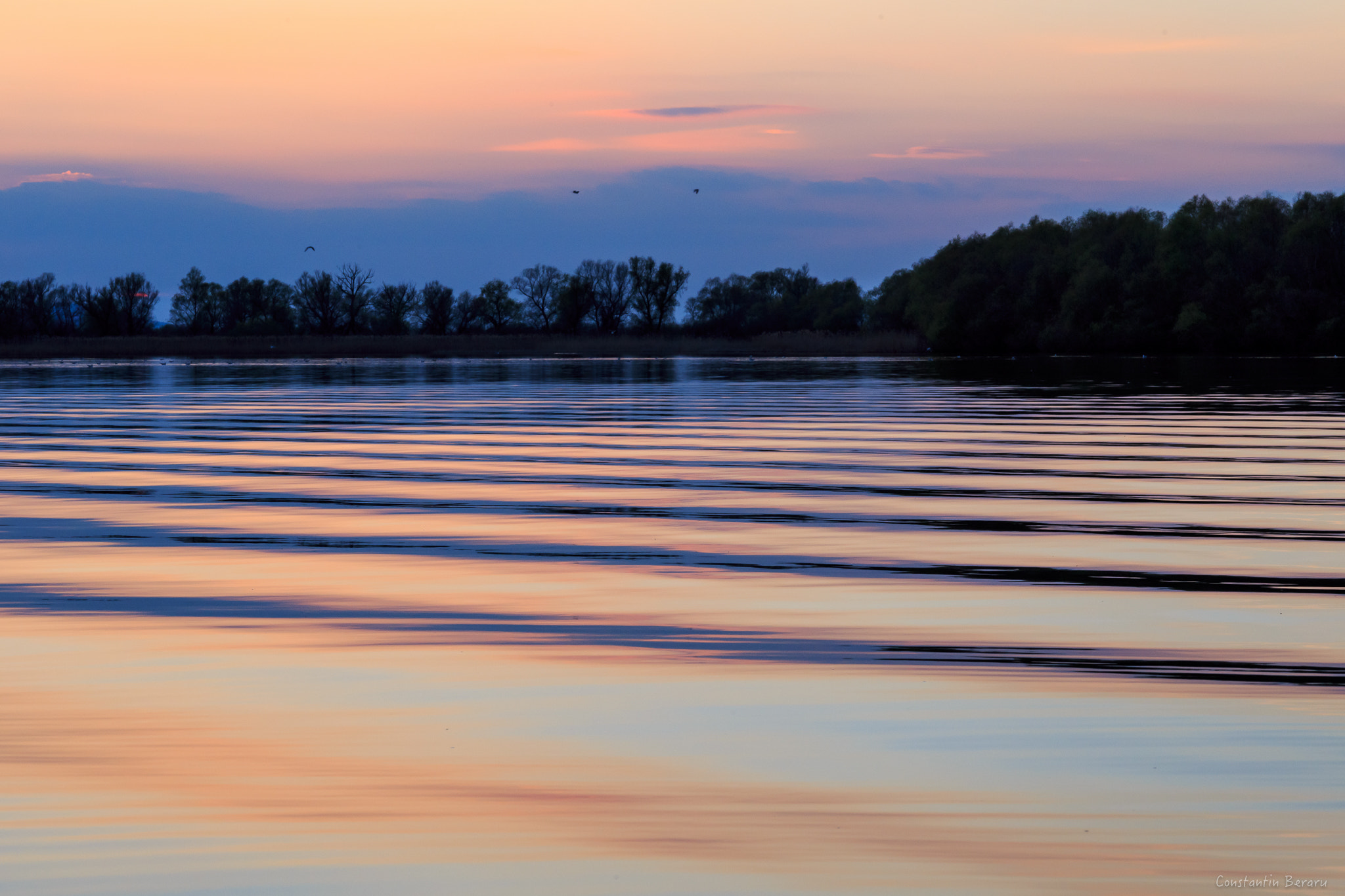 Canon EOS 6D + ZEISS Milvus 100mm F2 Macro sample photo. Danube delta - romania photography