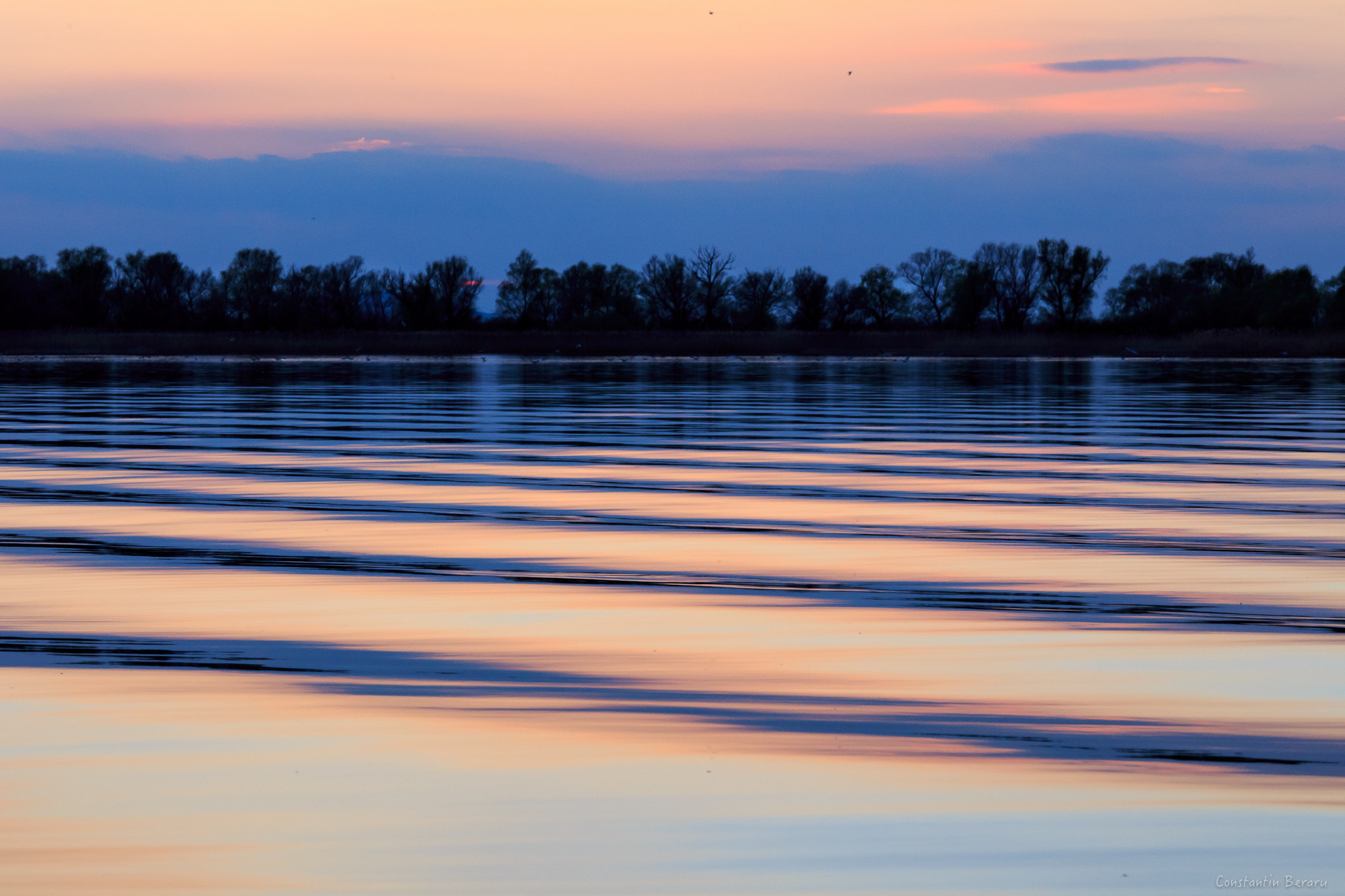 Canon EOS 6D + ZEISS Milvus 100mm F2 Macro sample photo. Danube delta - romania photography
