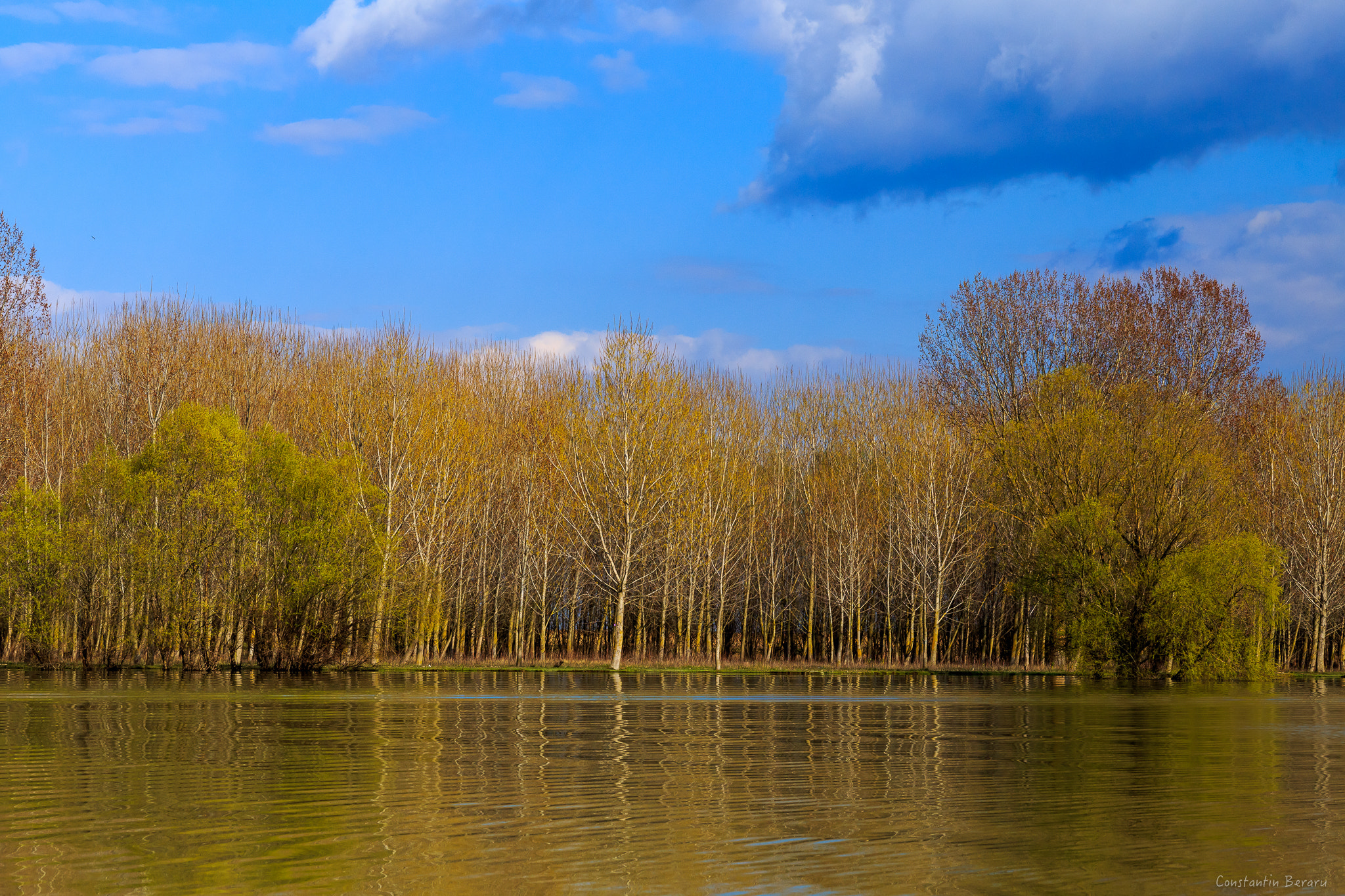 Canon EOS 6D + ZEISS Milvus 100mm F2 Macro sample photo. Danube delta - romania photography