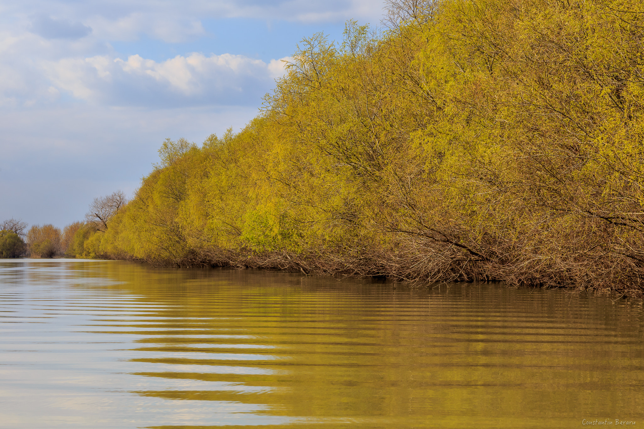 Canon EOS 6D + ZEISS Milvus 100mm F2 Macro sample photo. Danube delta - romania photography