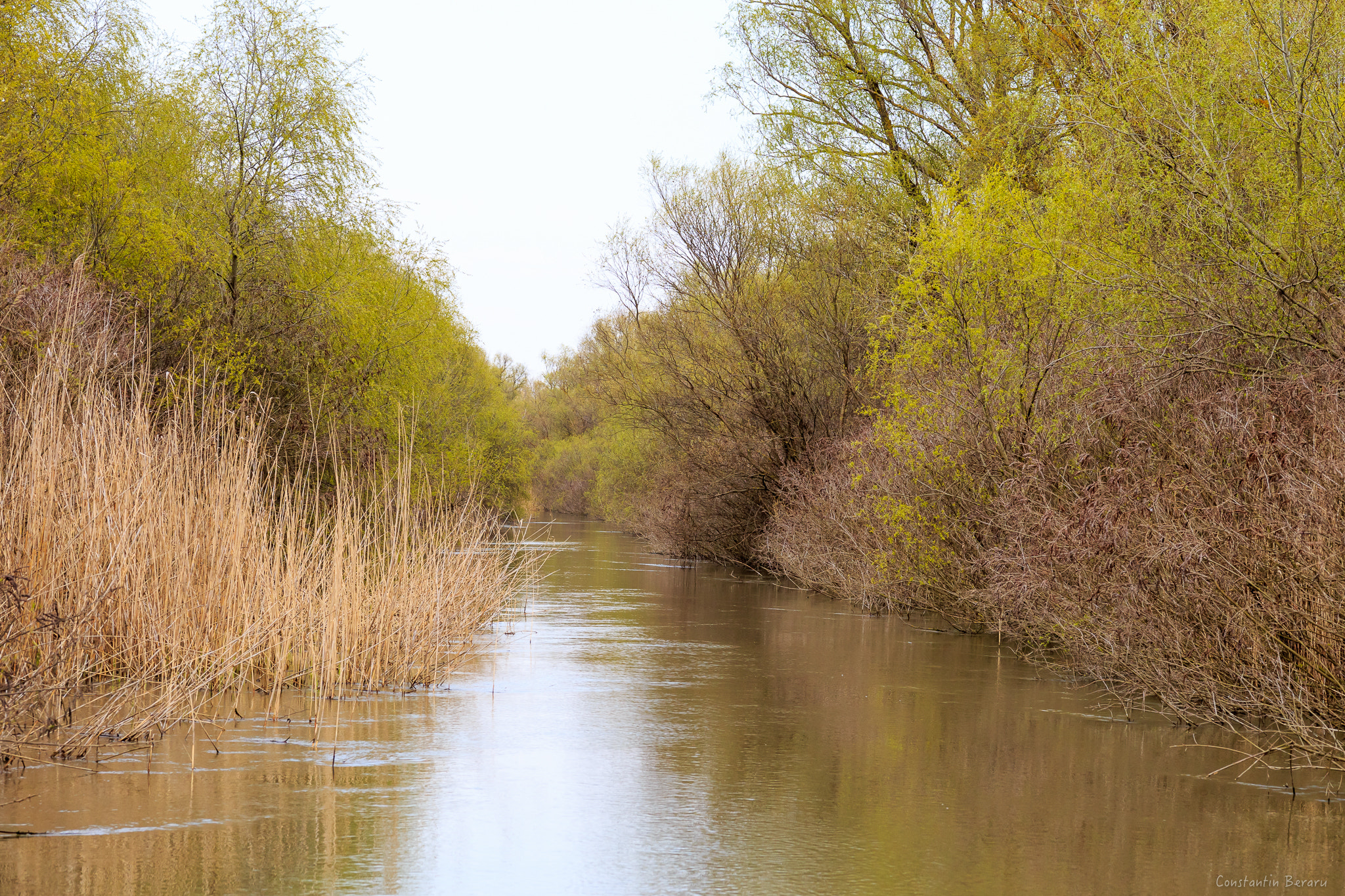 Canon EOS 6D + ZEISS Milvus 100mm F2 Macro sample photo. Danube delta - romania photography