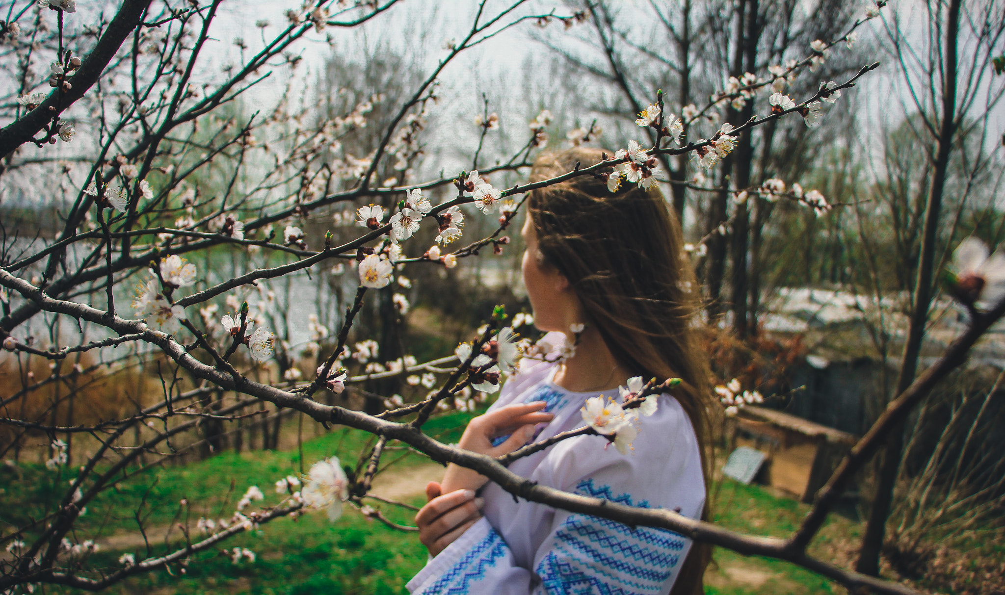 Canon EF-S 18-135mm F3.5-5.6 IS STM sample photo. Ukrainian spring photography