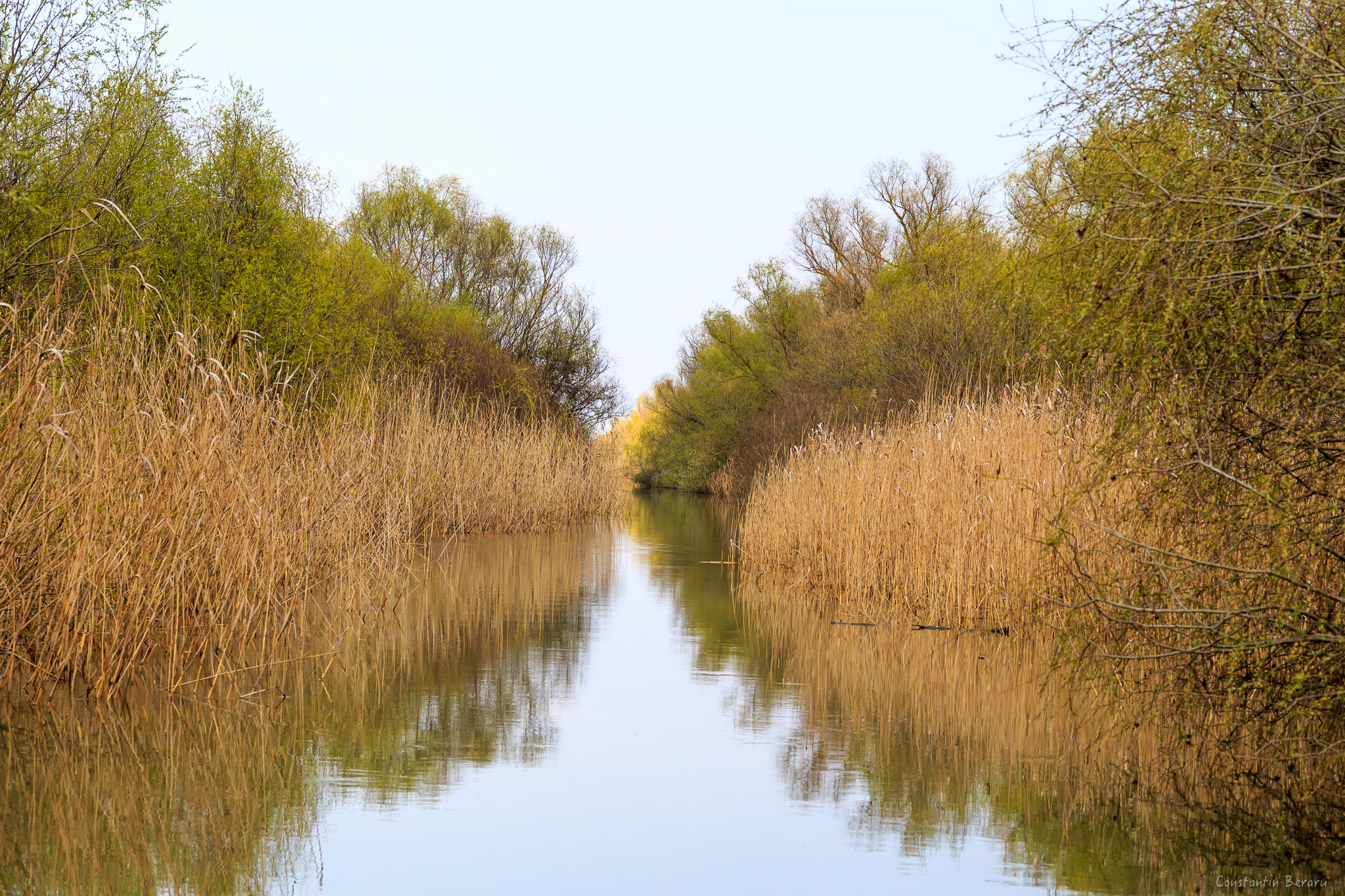 Canon EOS 6D + ZEISS Milvus 100mm F2 Macro sample photo. Danube delta - romania photography