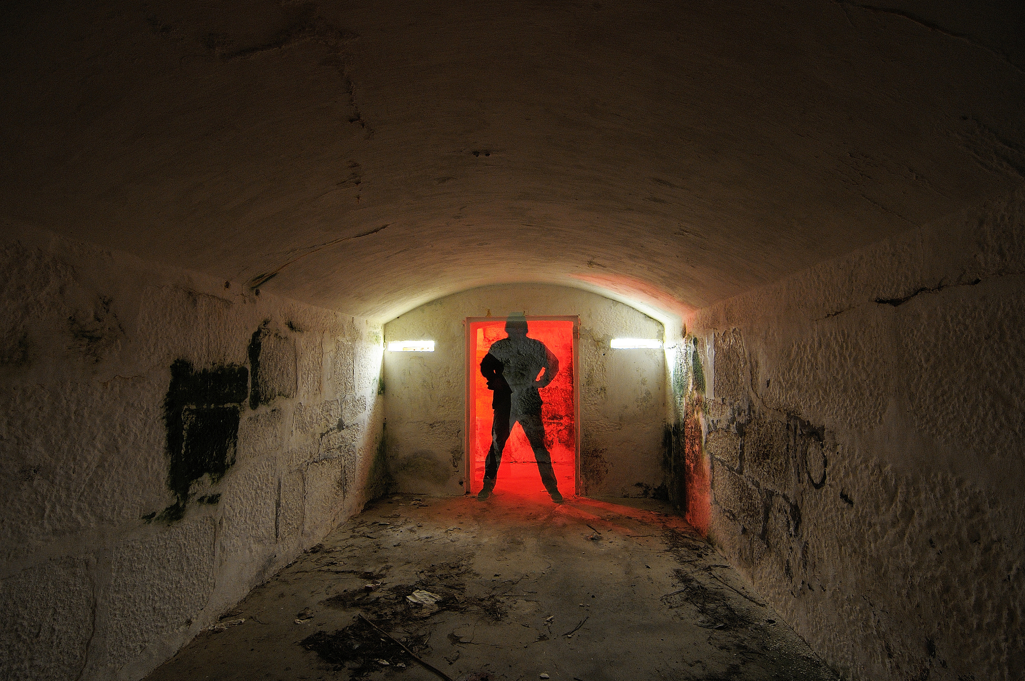 Nikon D300S sample photo. Silent watcher photography