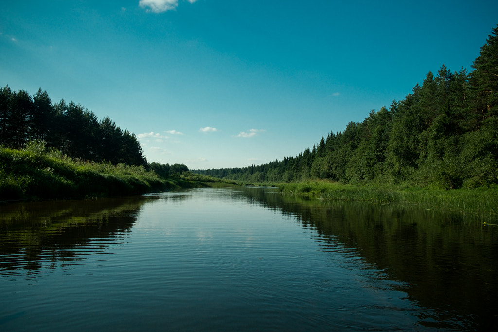 Medveditsa river, Tver region of Russia by Dima Shevchuk / 500px