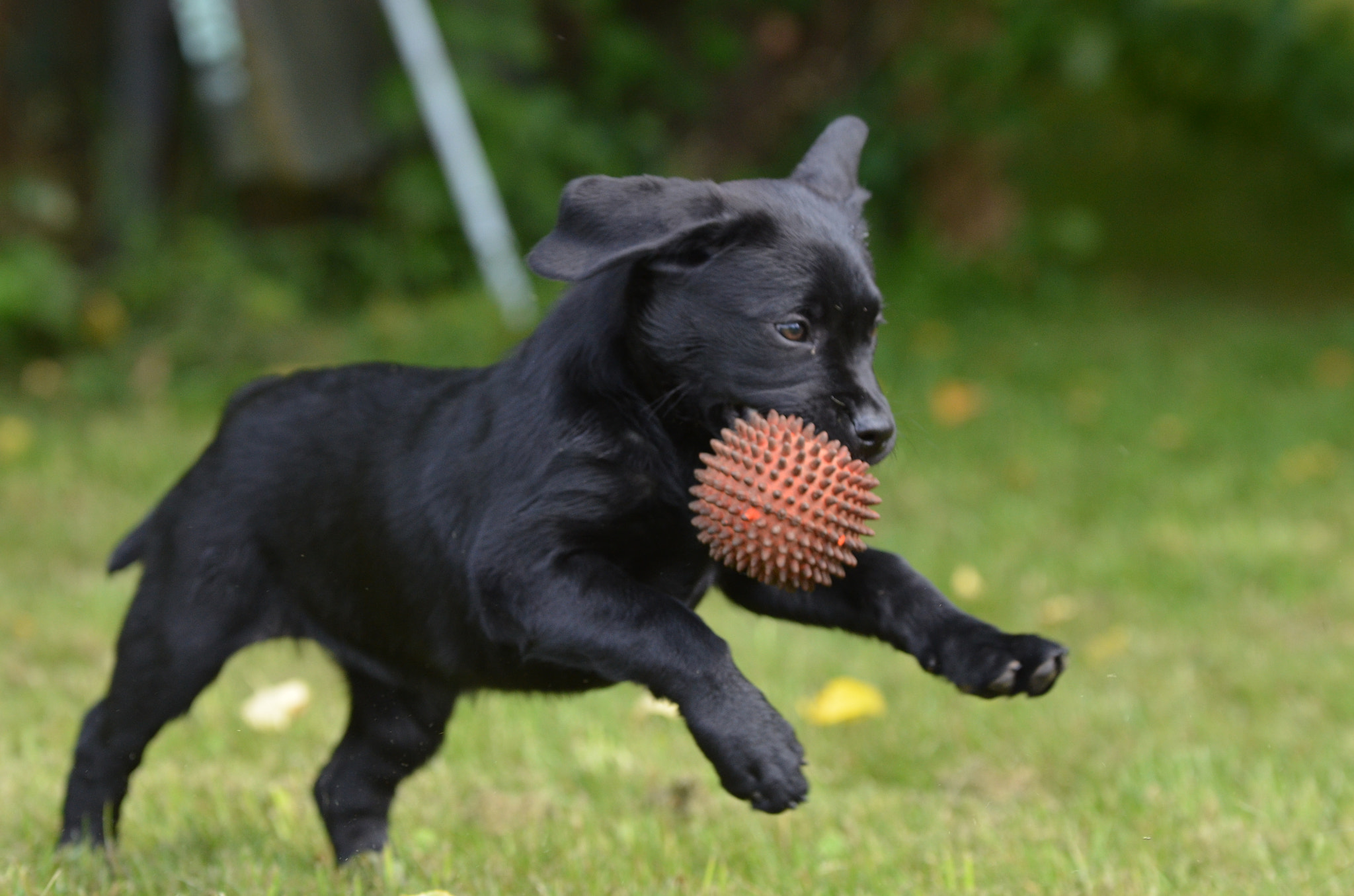 Sigma 70-200mm F2.8 EX DG OS HSM sample photo. Lucy photography