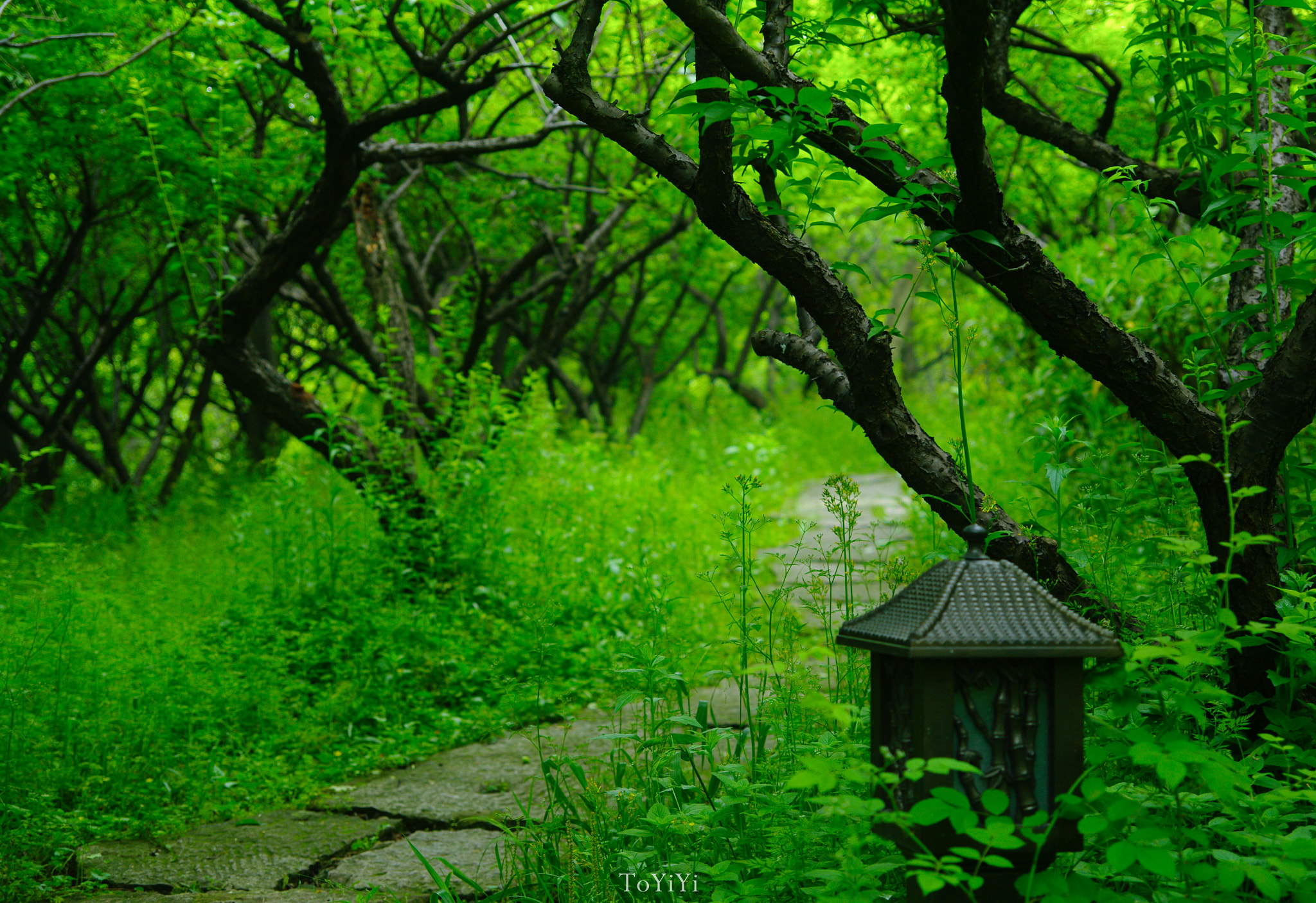 Pentax K-7 sample photo. 西溪·杭州 photography