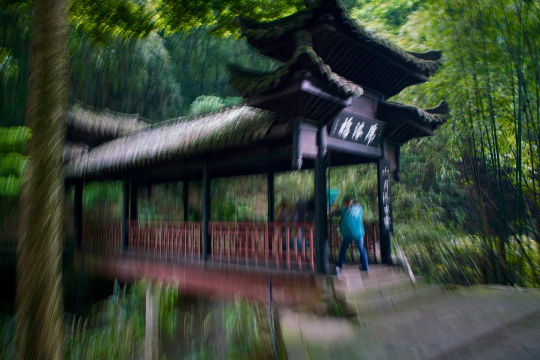 Sony FE 28mm F2 sample photo. Mount emei photography