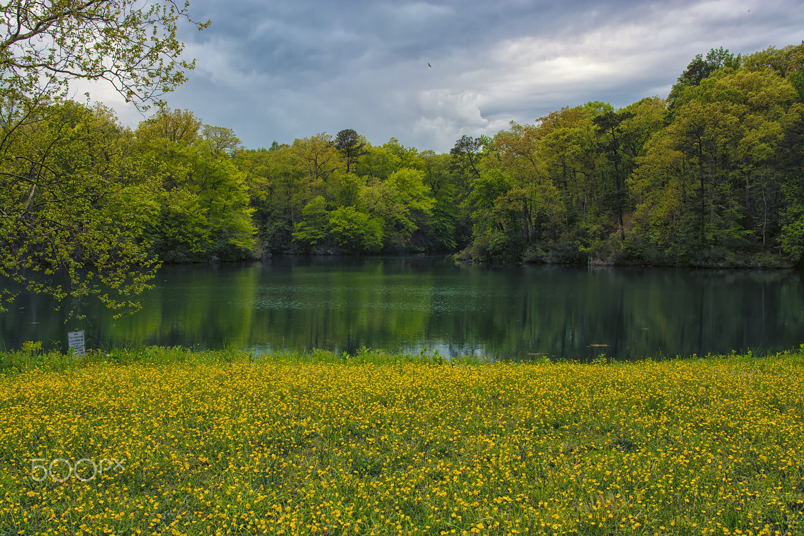 Sigma 18-50mm F2.8-4.5 DC OS HSM sample photo. Spring at jones mill pond photography