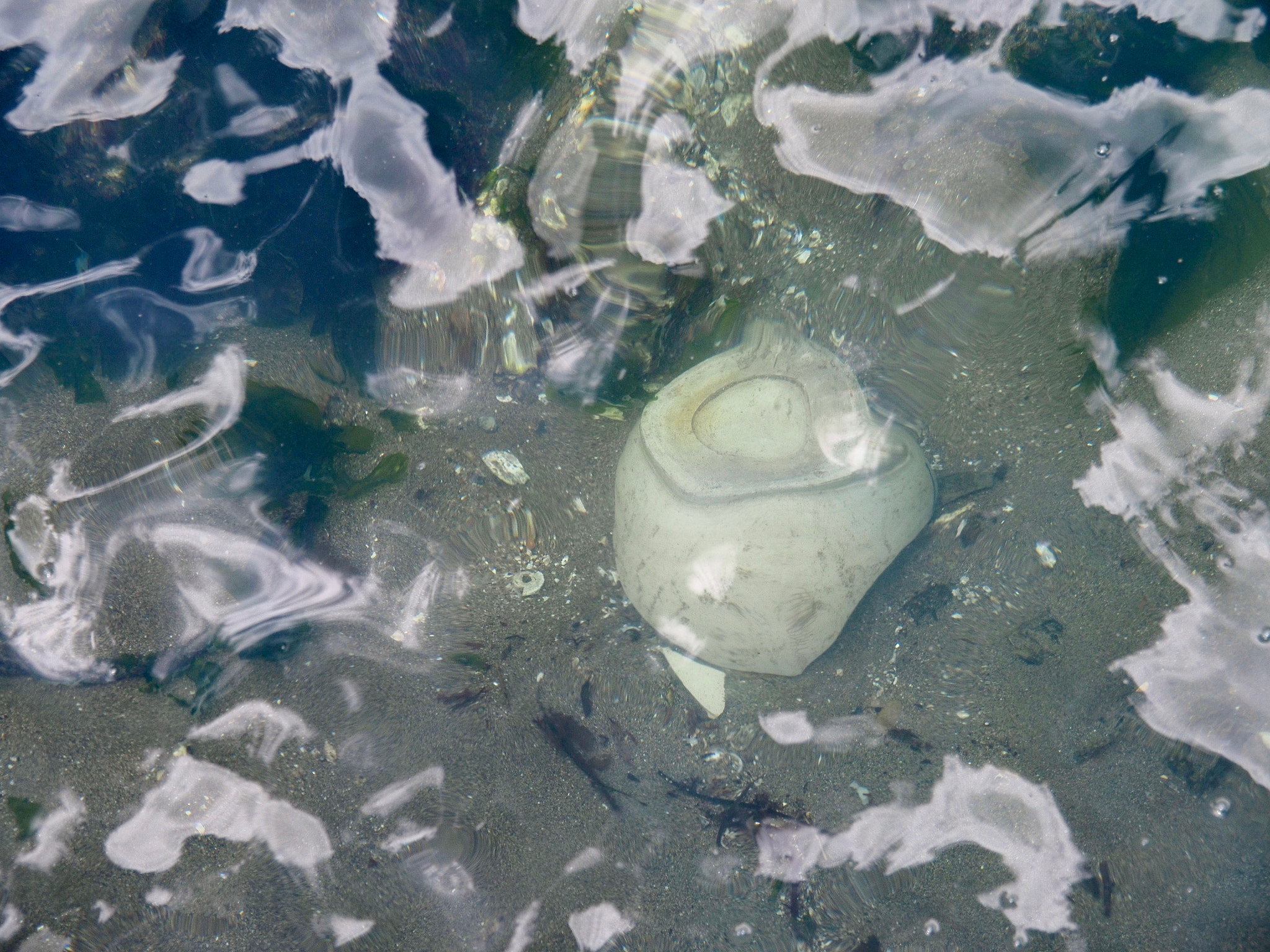 Olympus M.Zuiko Digital ED 14-150mm F4-5.6 sample photo. Stained, broken, discarded, submerged photography