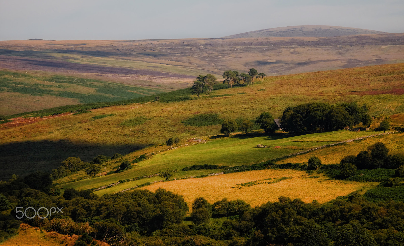 Fujifilm X-M1 + Fujifilm XC 50-230mm F4.5-6.7 OIS sample photo. ...somewhere in wicklow ii... photography