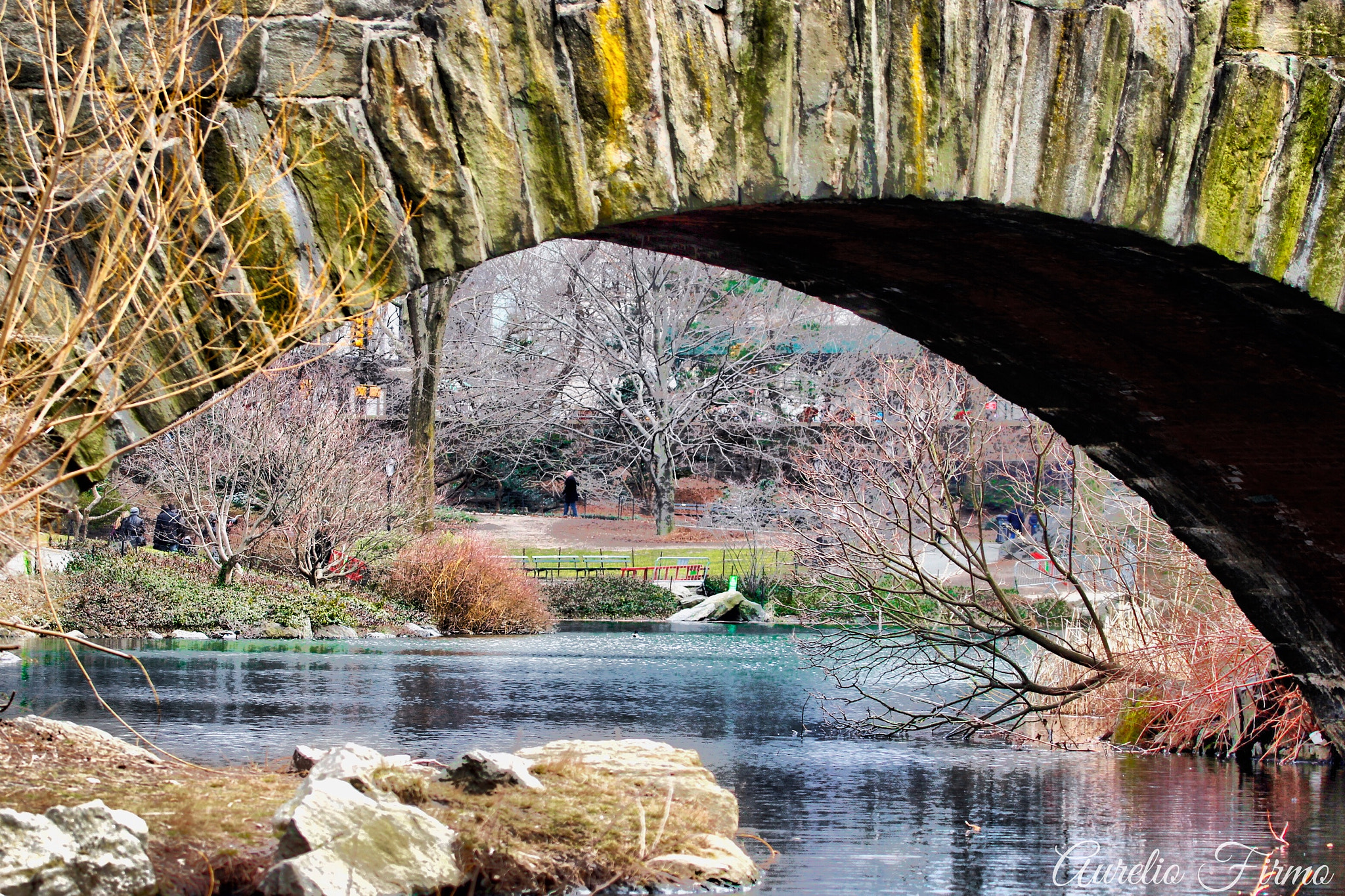 Canon EF 100-400mm F4.5-5.6L IS USM sample photo. The pond at central park manhattan newyork photography