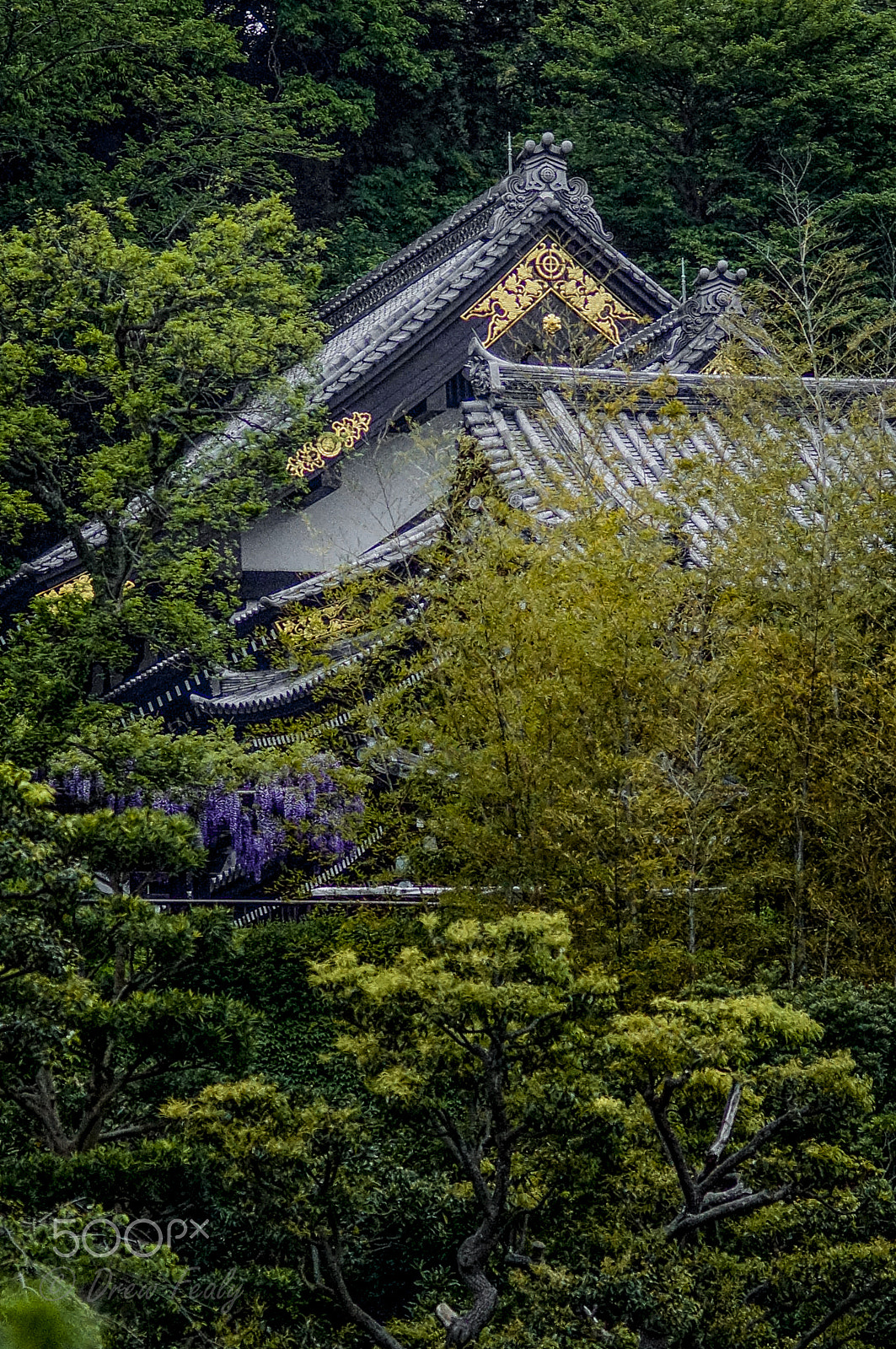 Sony SLT-A77 + Sony 85mm F2.8 SAM sample photo. Temple in the woods photography