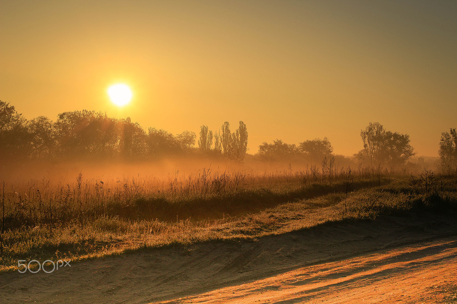 Canon EF 40mm F2.8 STM sample photo. Утро ранее photography