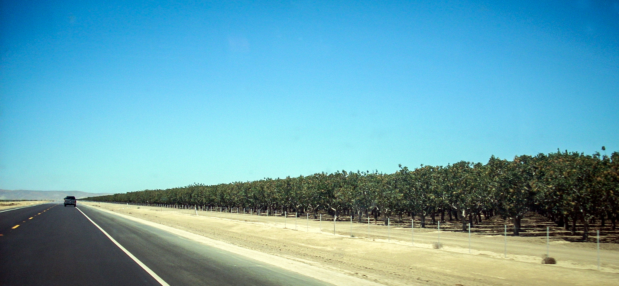 Nikon COOLPIX L11 sample photo. Almonds for miles & miles photography