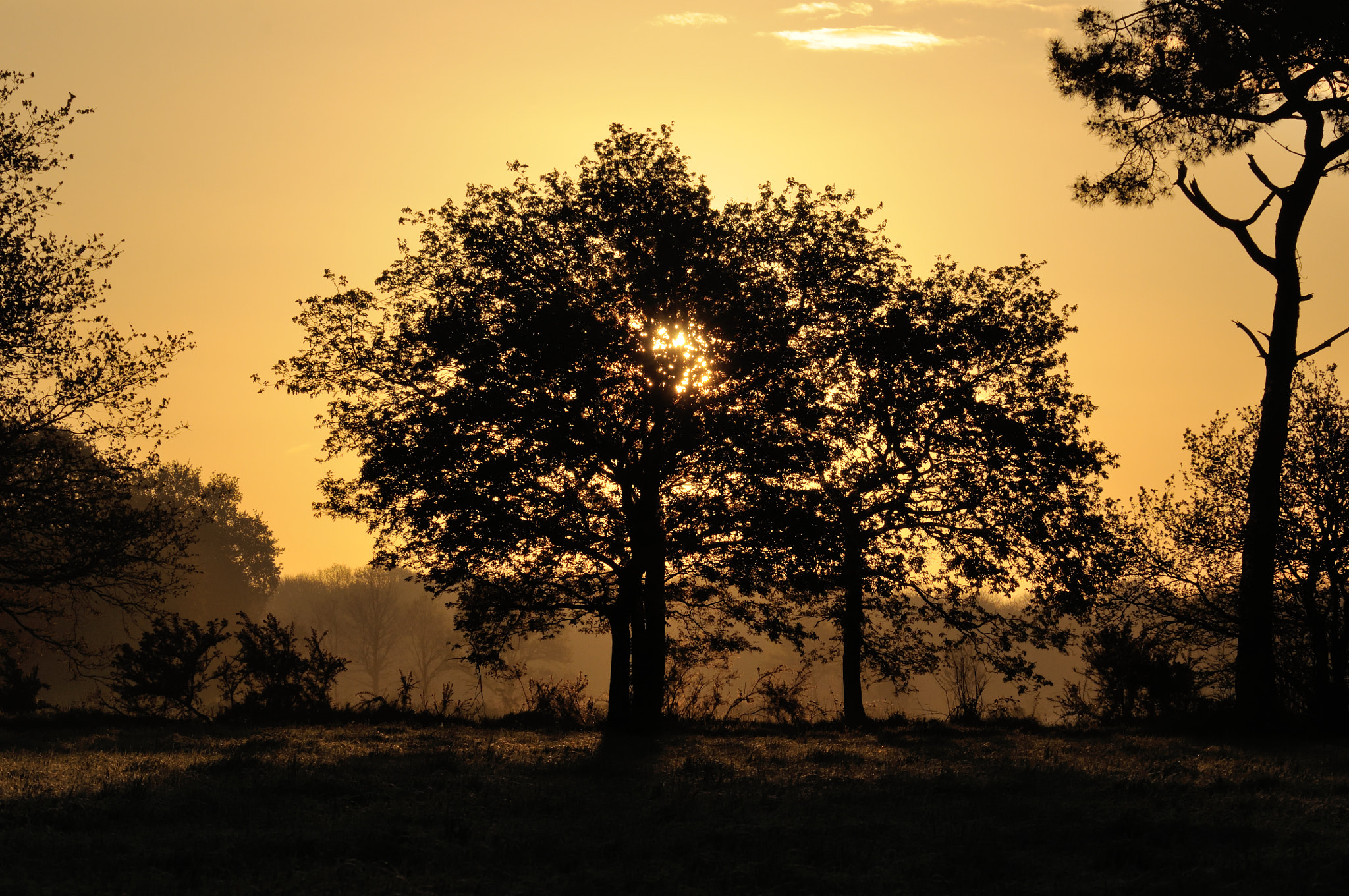 Nikon D300S sample photo. This morning photography