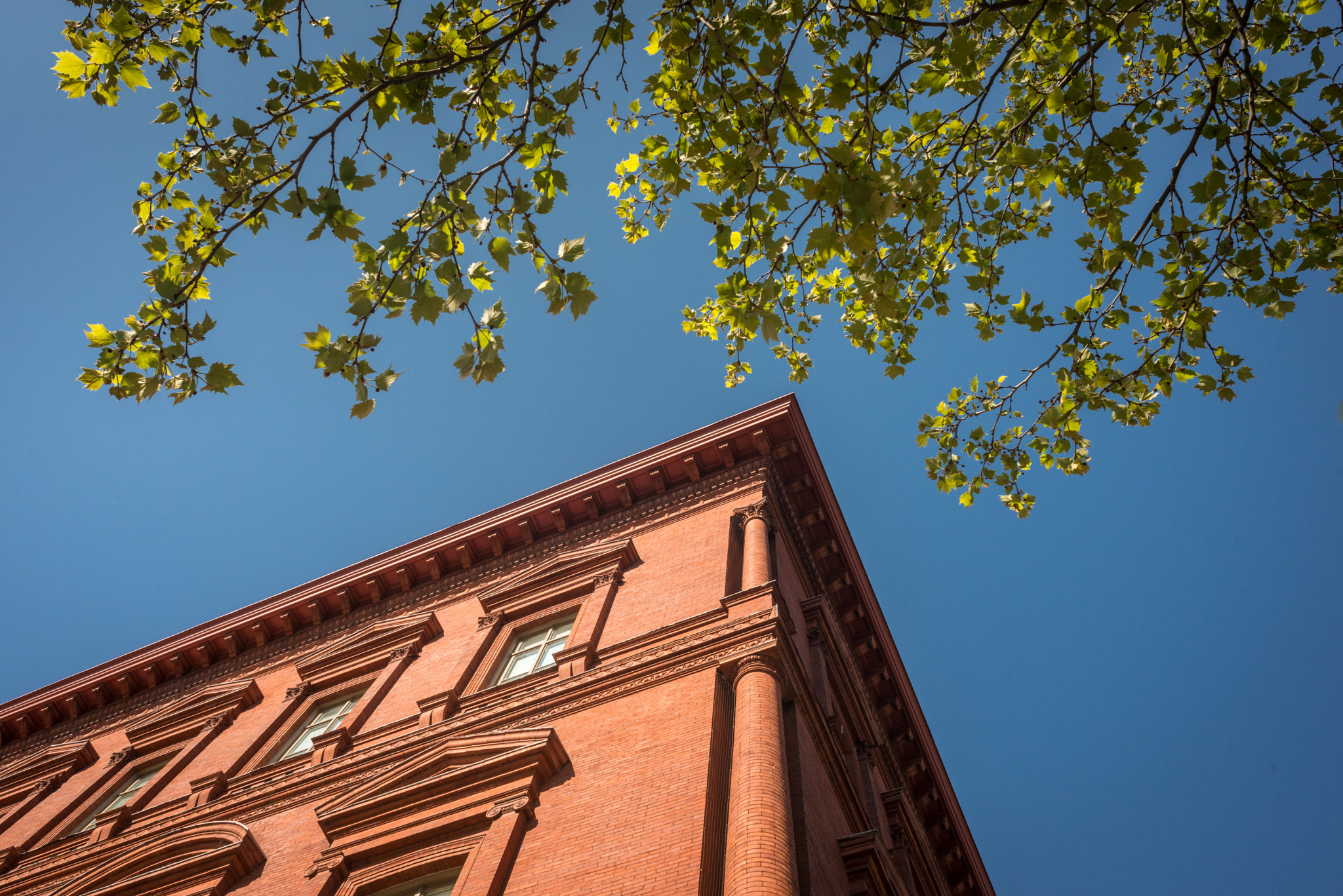 Nikon D800 + AF Nikkor 24mm f/2.8 sample photo. National building museum photography