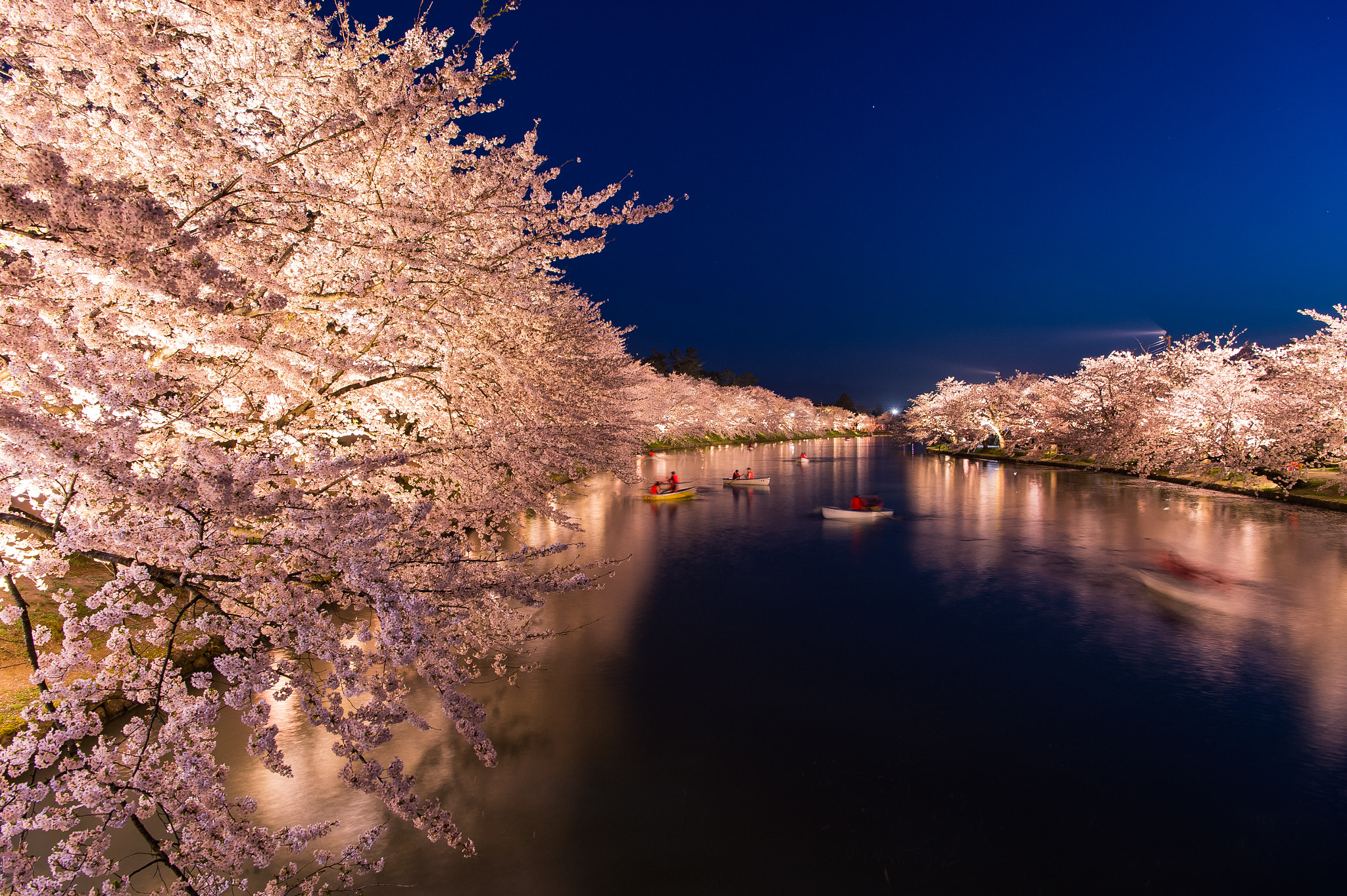 Nikon AF-S Nikkor 24-70mm F2.8E ED VR sample photo. Spring night photography