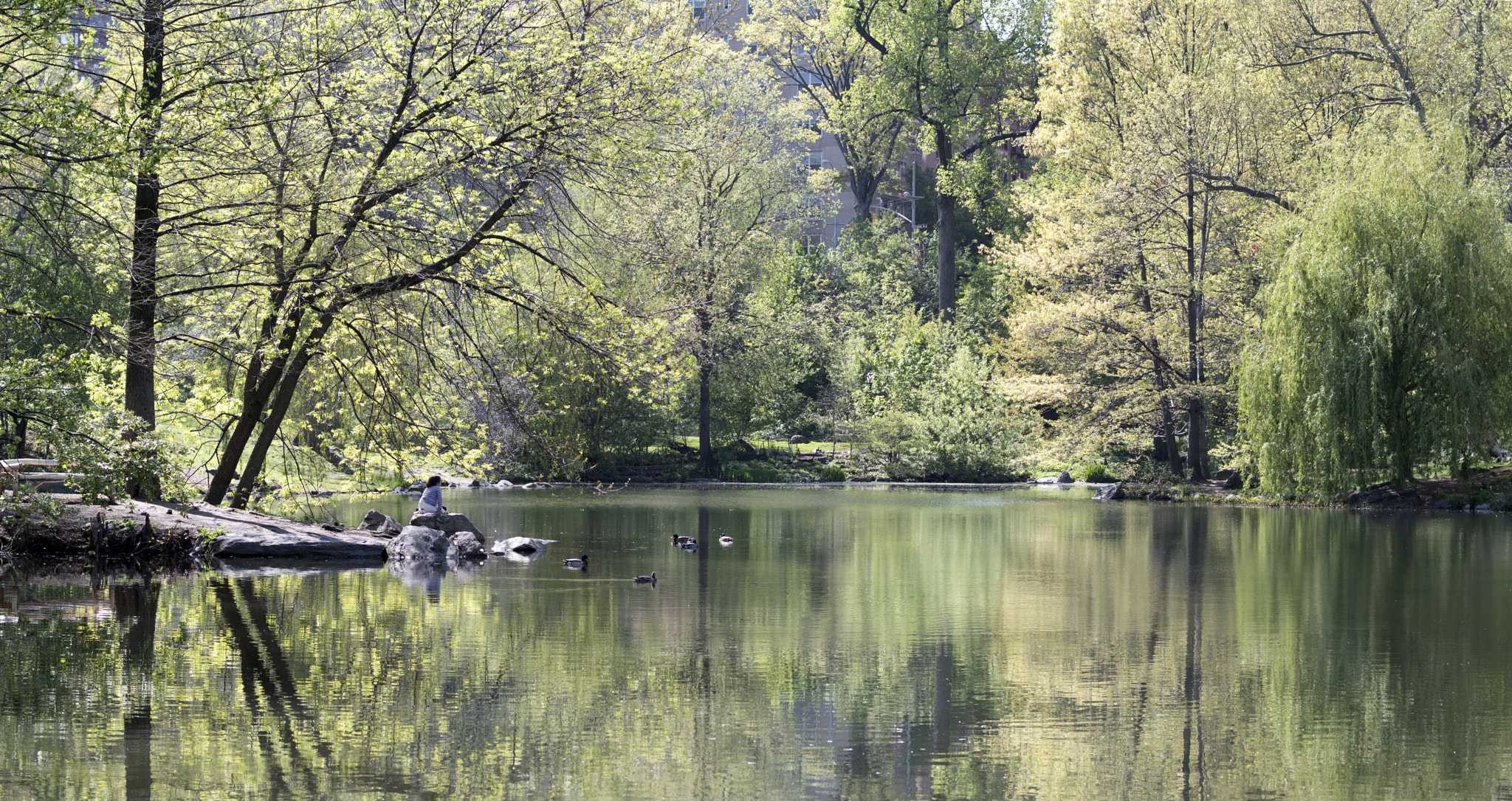 Nikon D5500 + Nikon AF-S Nikkor 58mm F1.4G sample photo. 'the pool' - central park, nyc photography