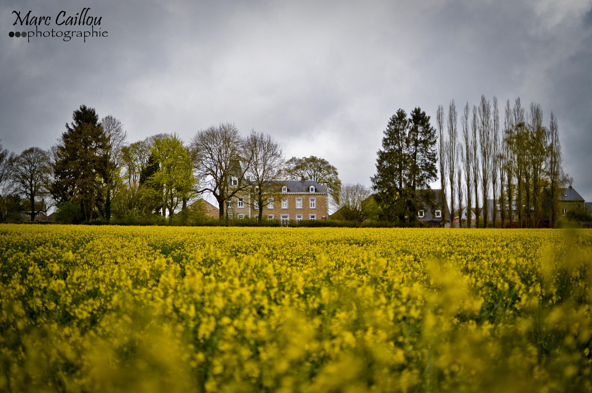 Sigma 18-125mm F3.8-5.6 DC OS HSM sample photo. 20160426-dsc_0001.jpg photography