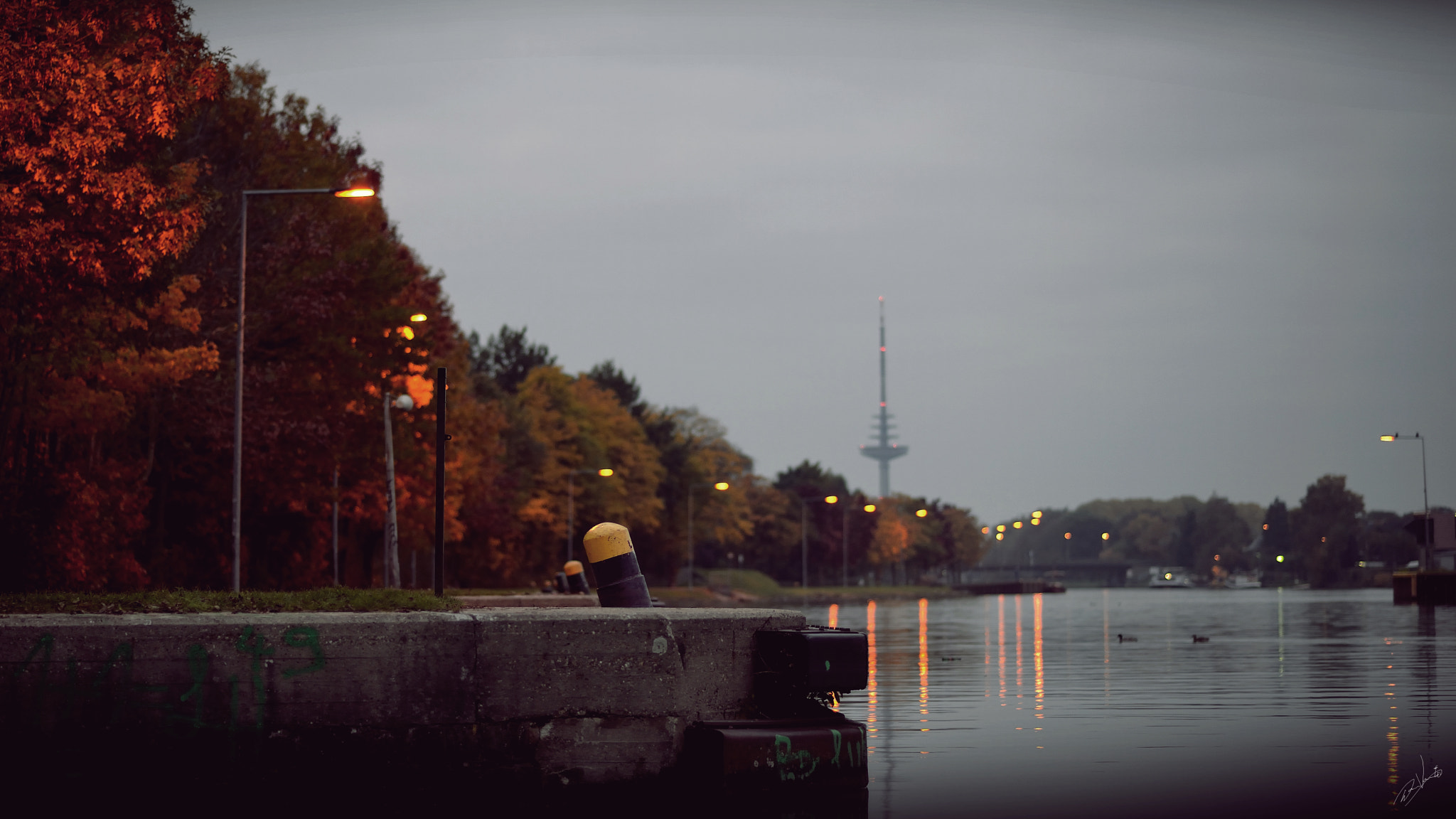 Nikon D600 + AF Nikkor 85mm f/1.8 sample photo. Pure morning photography