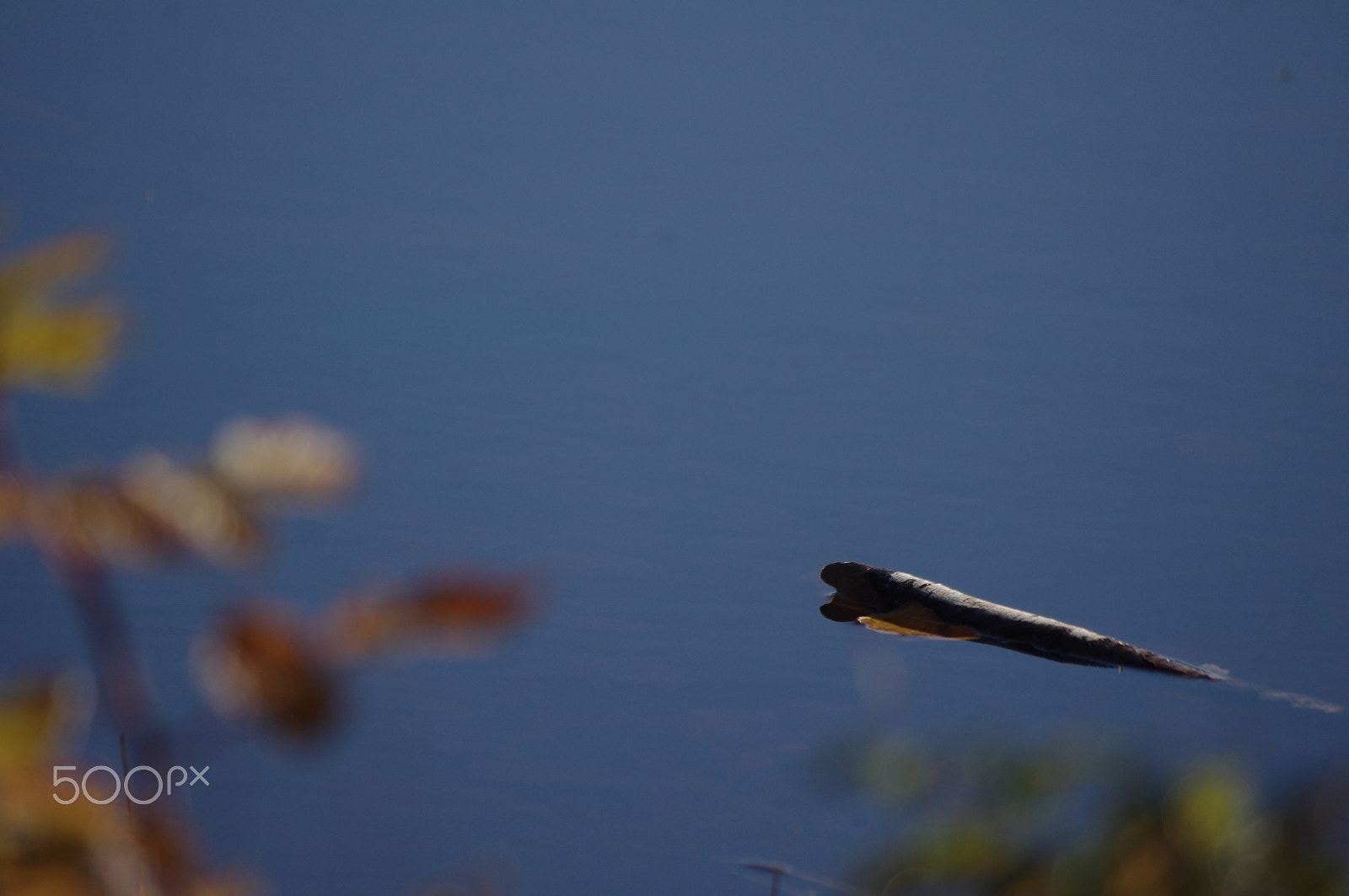 smc PENTAX-FA 80-320mm F4.5-5.6 sample photo. Driftwood photography