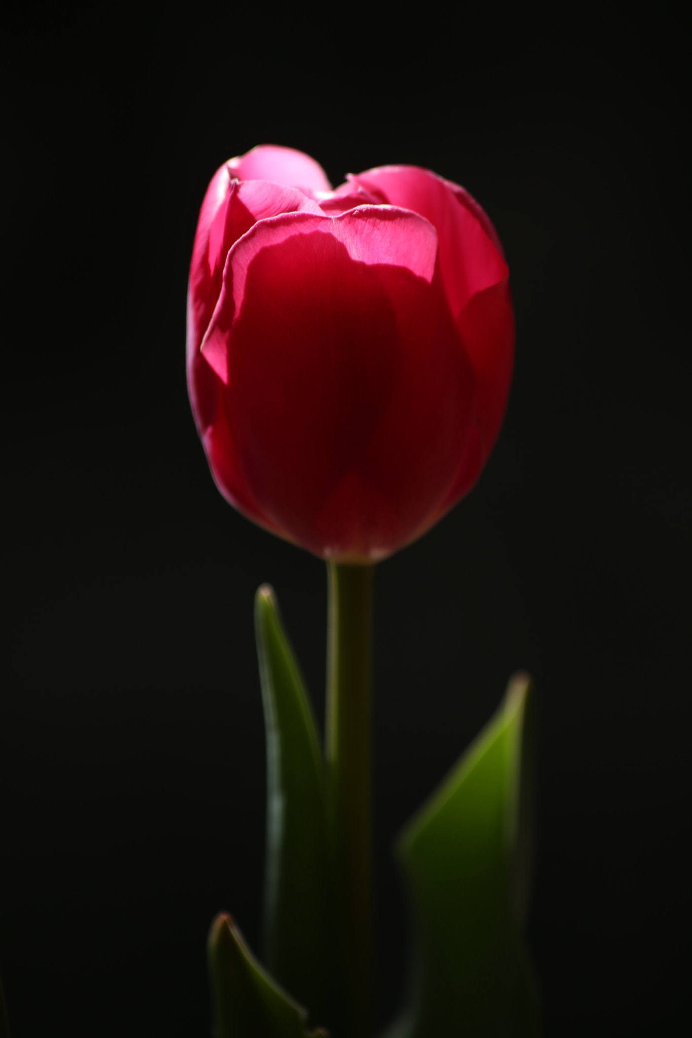 Canon EF 70-300mm F4-5.6 IS USM sample photo