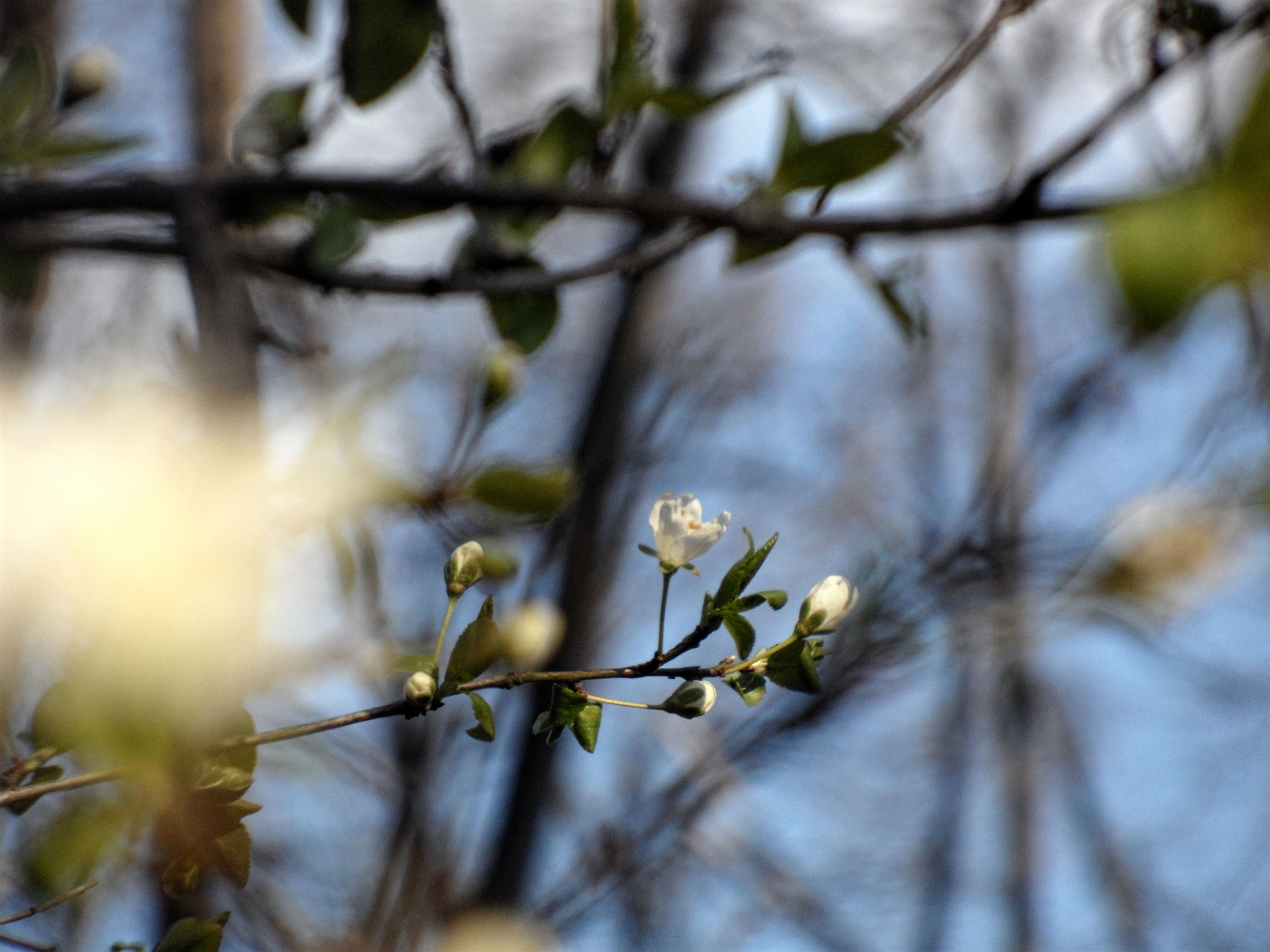 Samsung VLUU WB210, SAMSUNG WB210 sample photo. . photography