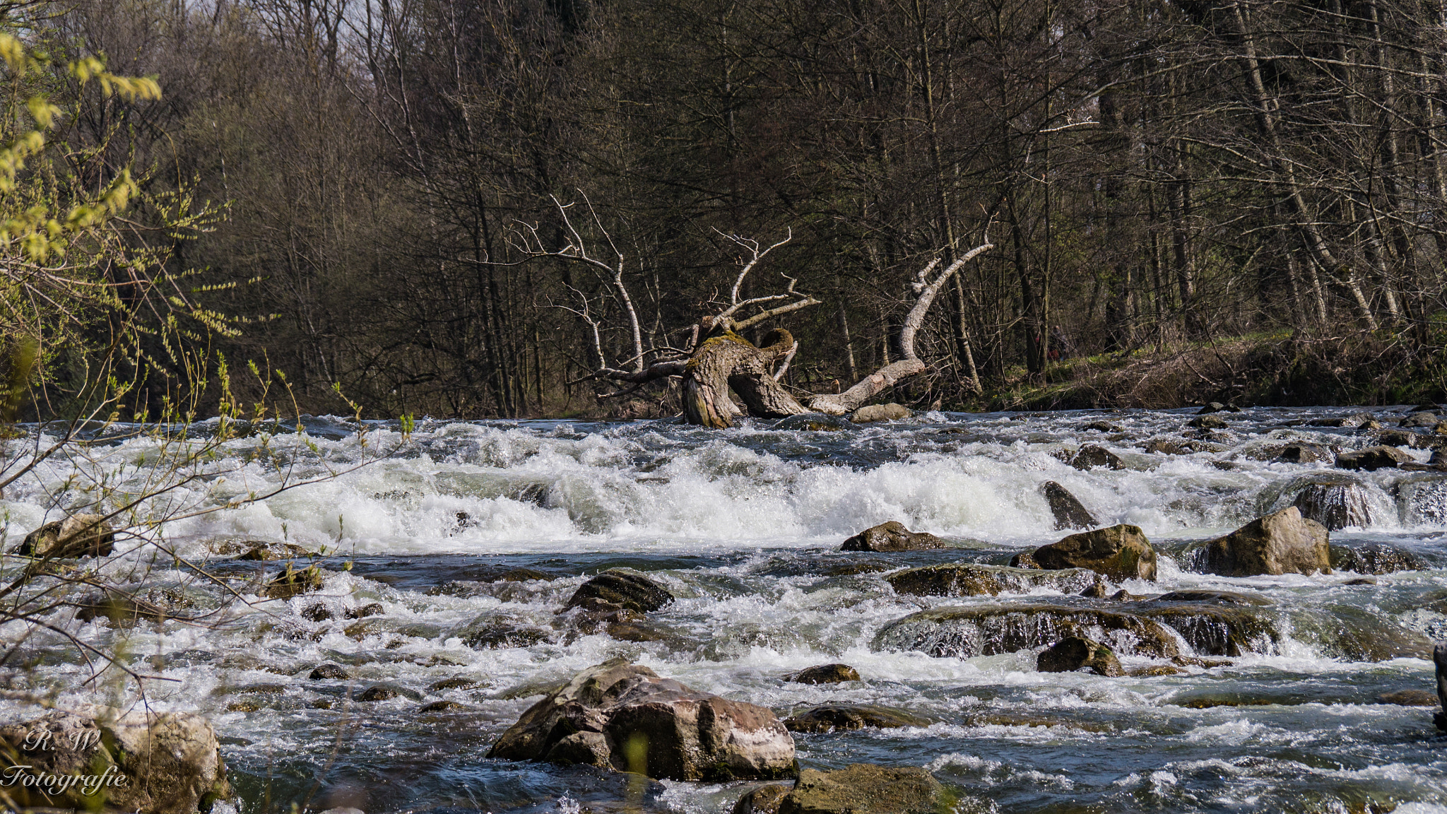 Panasonic Lumix DMC-GH3 sample photo. Die argen photography