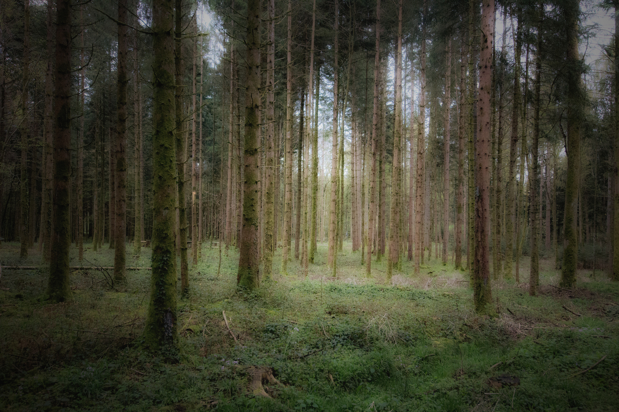 Sigma 12-24mm F4.5-5.6 II DG HSM sample photo. Bure fahy photography