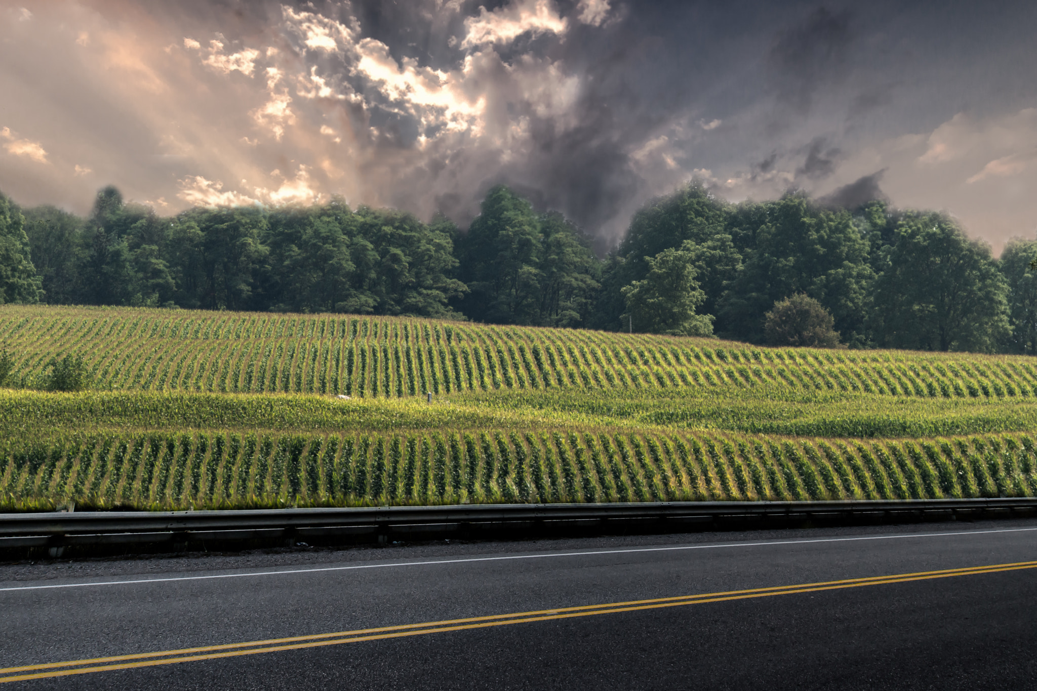 Nikon AF-S Nikkor 70-200mm F2.8G ED VR II sample photo. Another roadside attraction photography