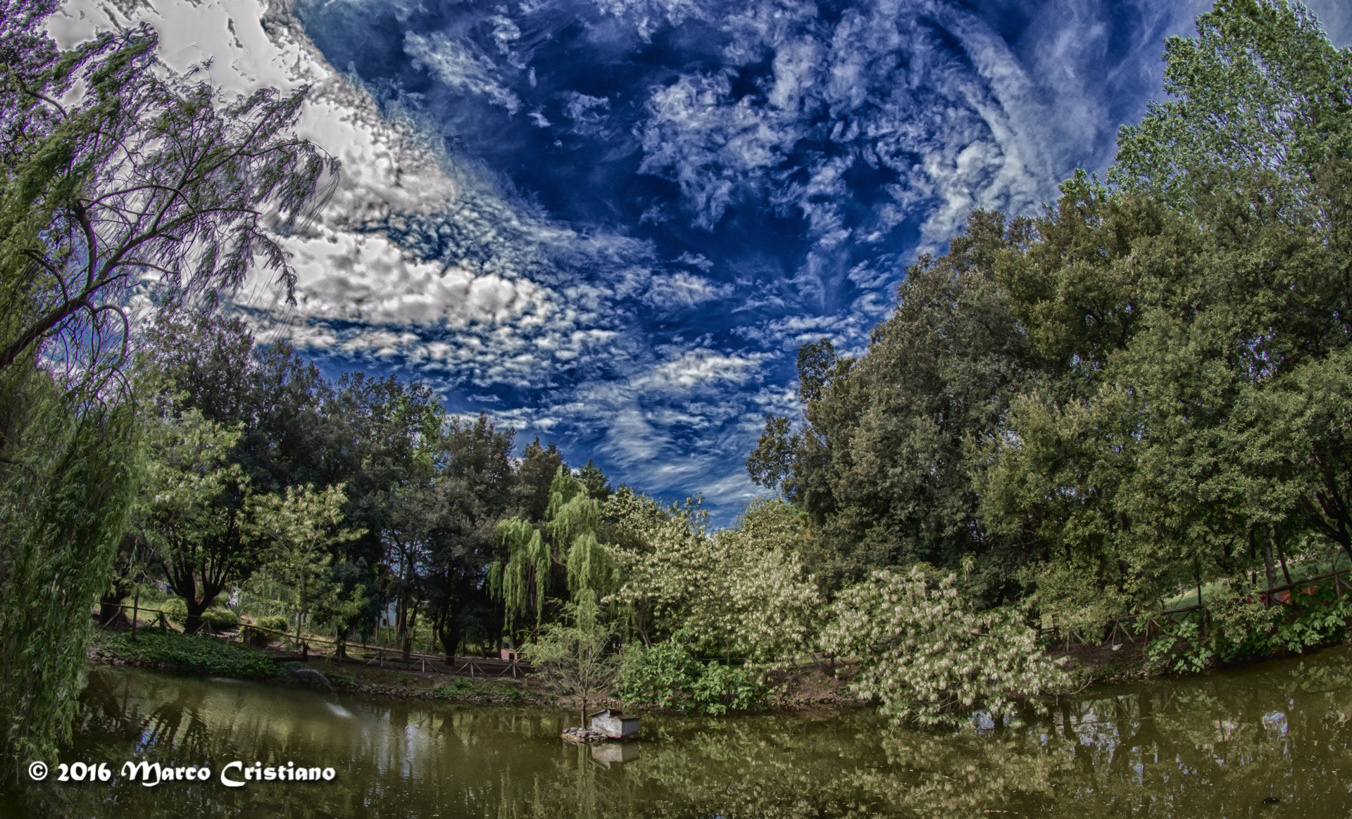 Nikon D3200 + Samyang 8mm F3.5 Aspherical IF MC Fisheye sample photo. Al parco... photography