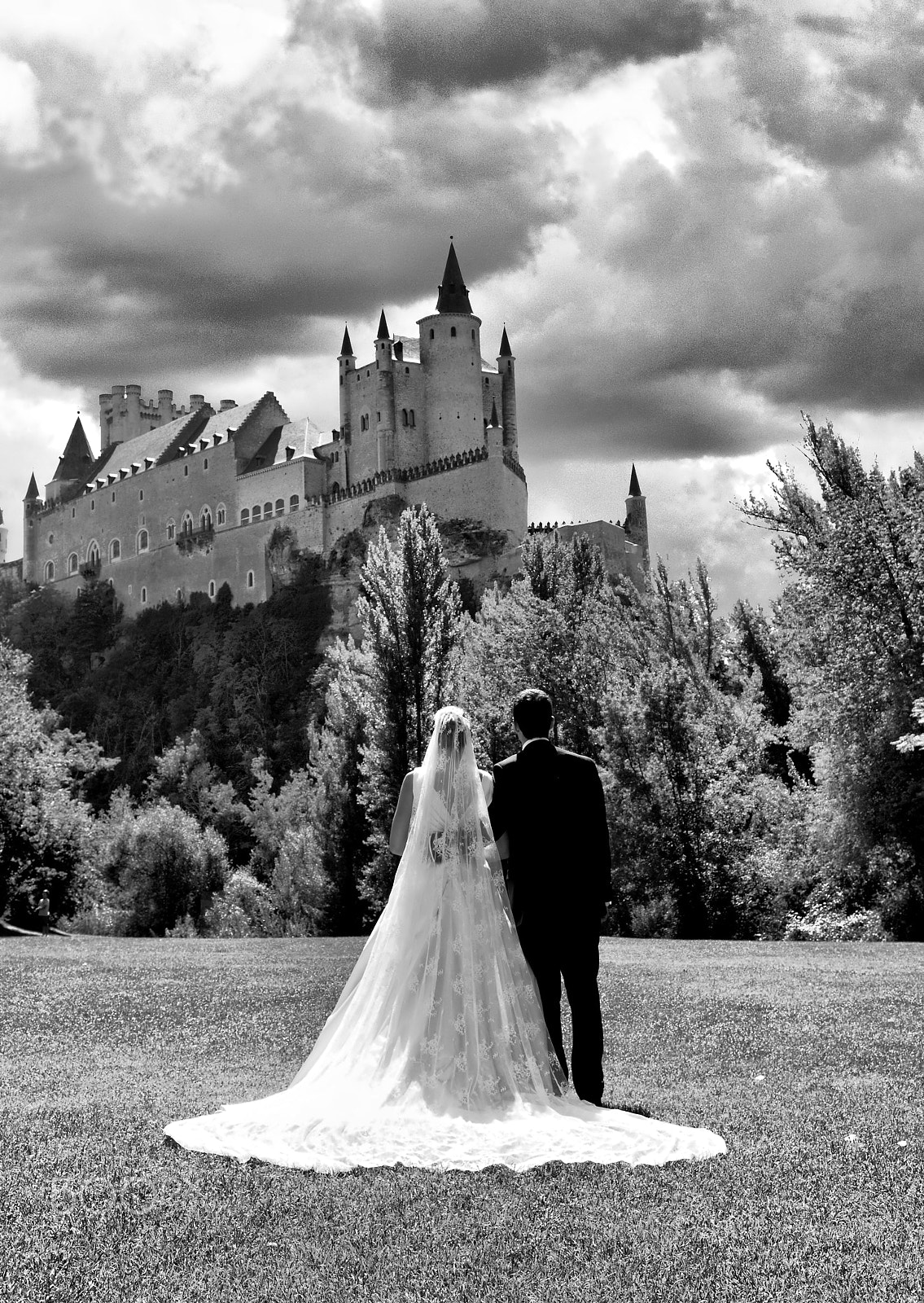 Nikon D200 sample photo. El alcazar y los novios photography